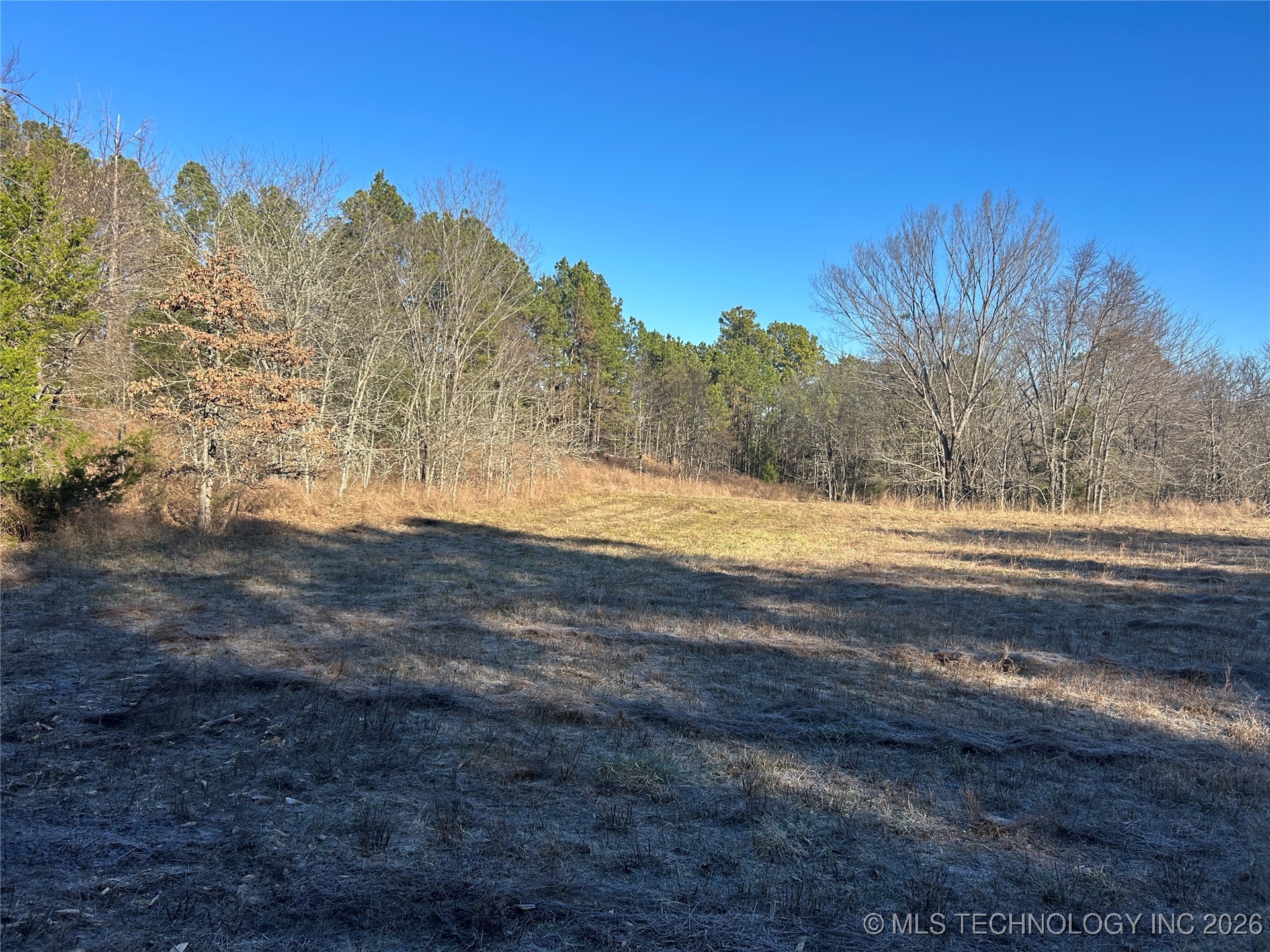 000 1100 Avenue Property Photo 12