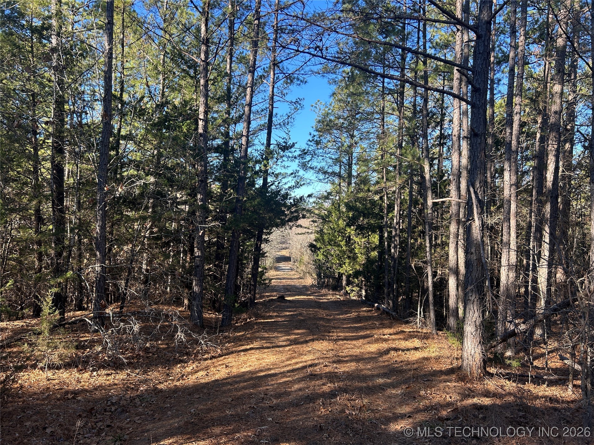 000 1100 Avenue Property Photo 13