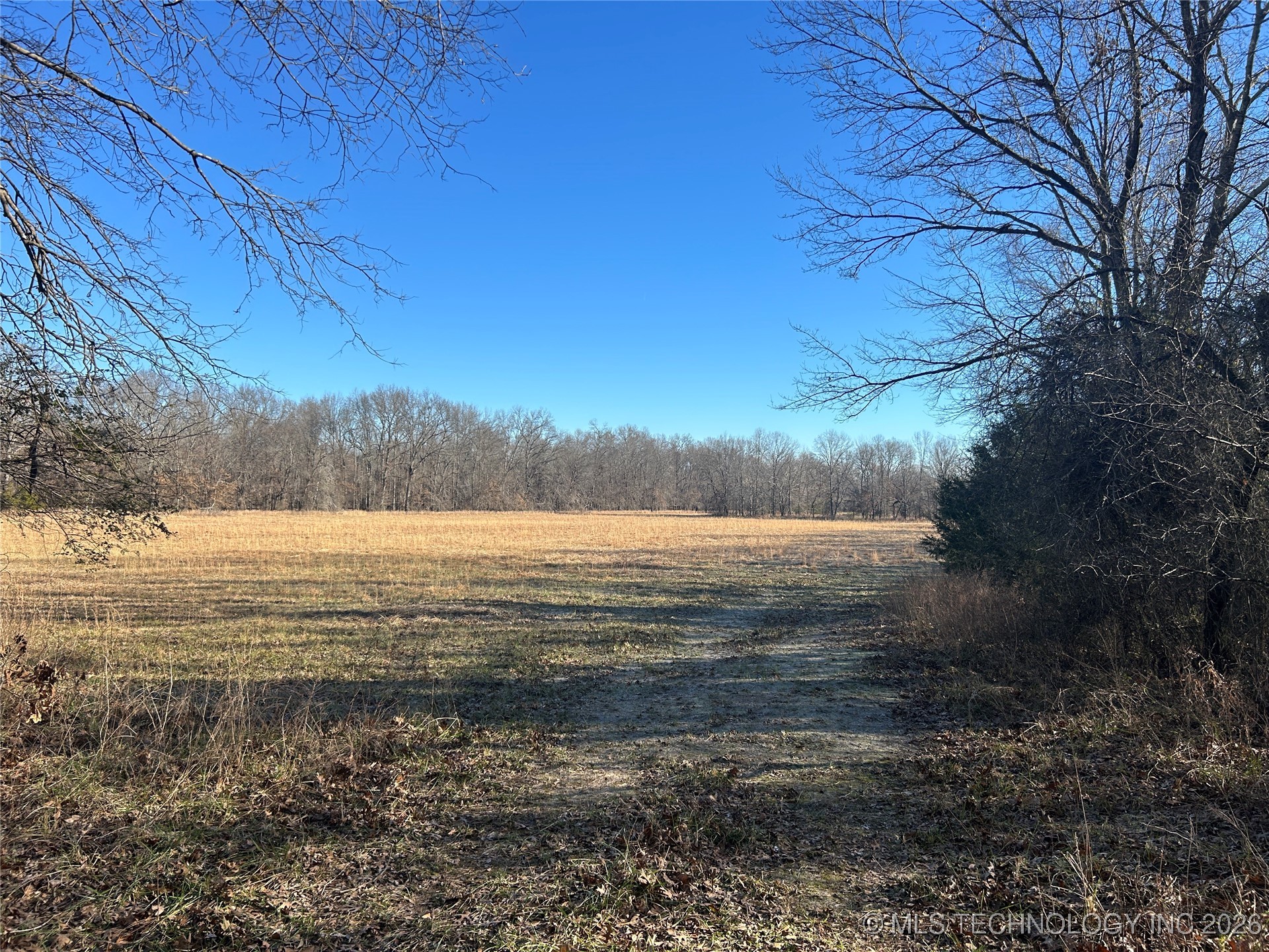 000 1100 Avenue Property Photo 15