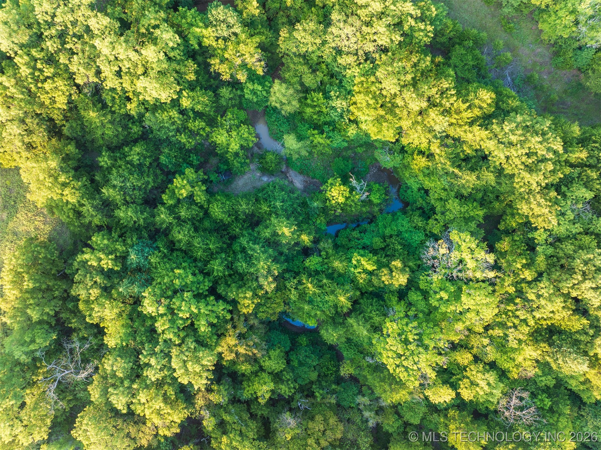 2 E Mcelroy Road Property Photo 26