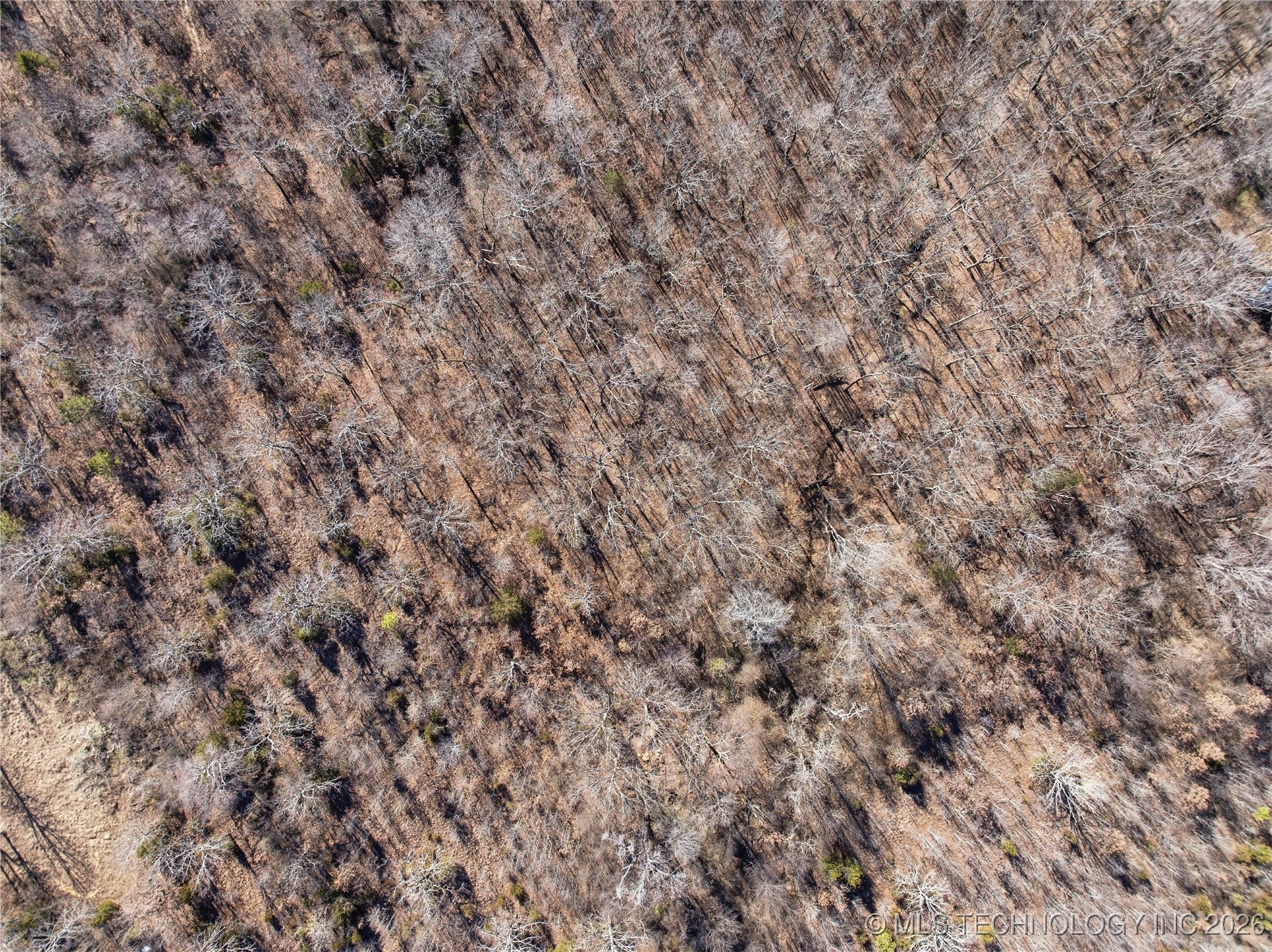 474132 Hwy 101 Property Photo 13