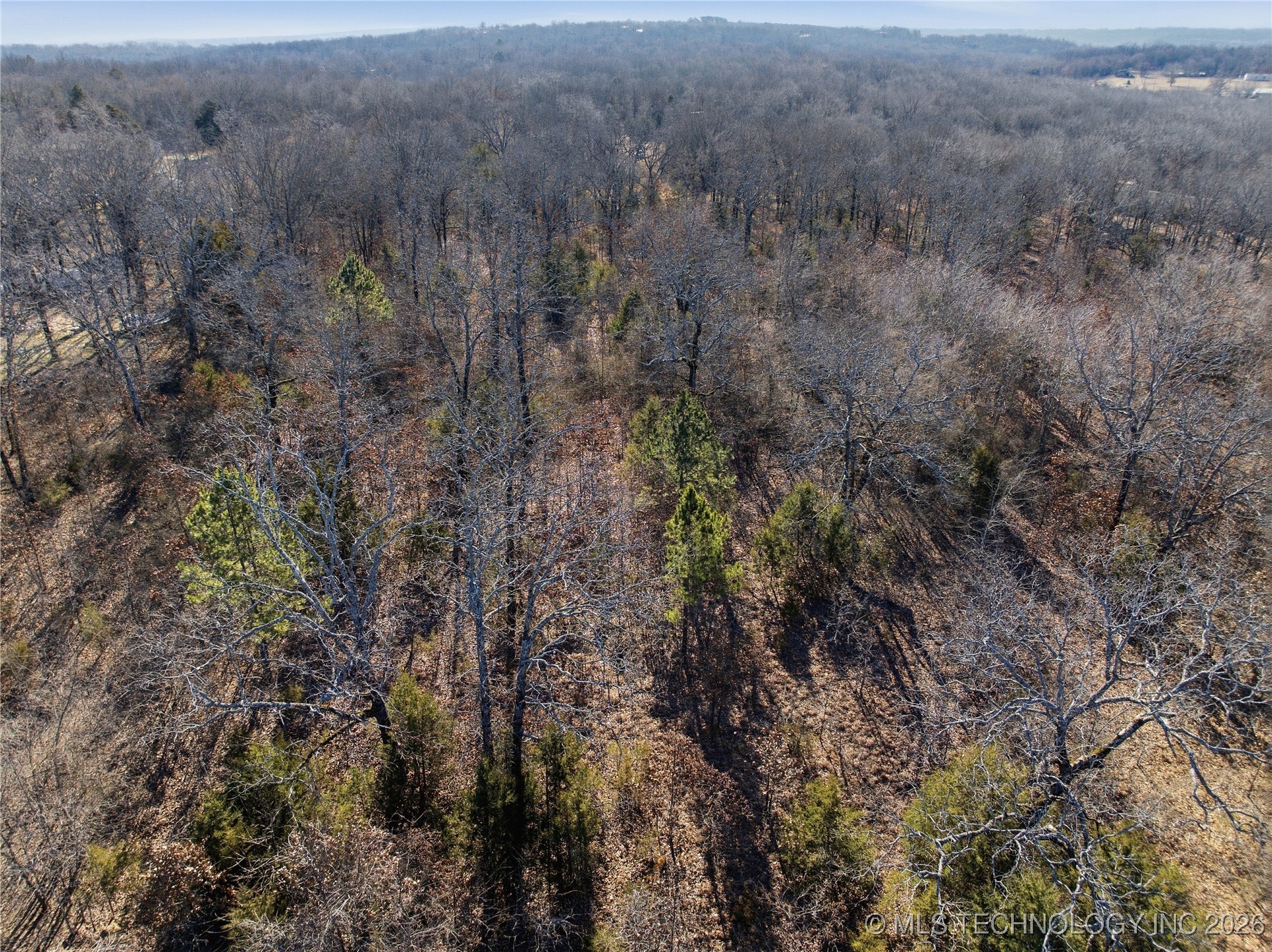 474132 Hwy 101 Property Photo 15