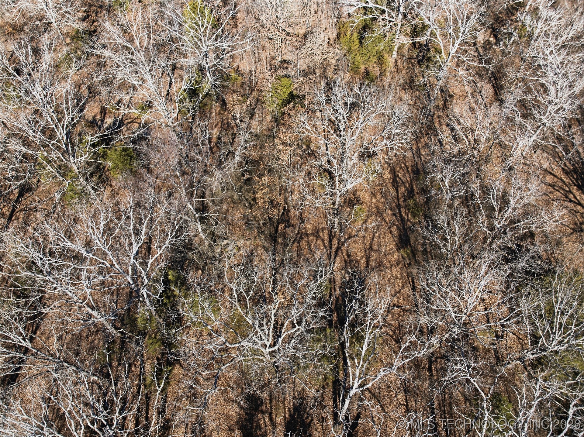 474132 Hwy 101 Property Photo 17