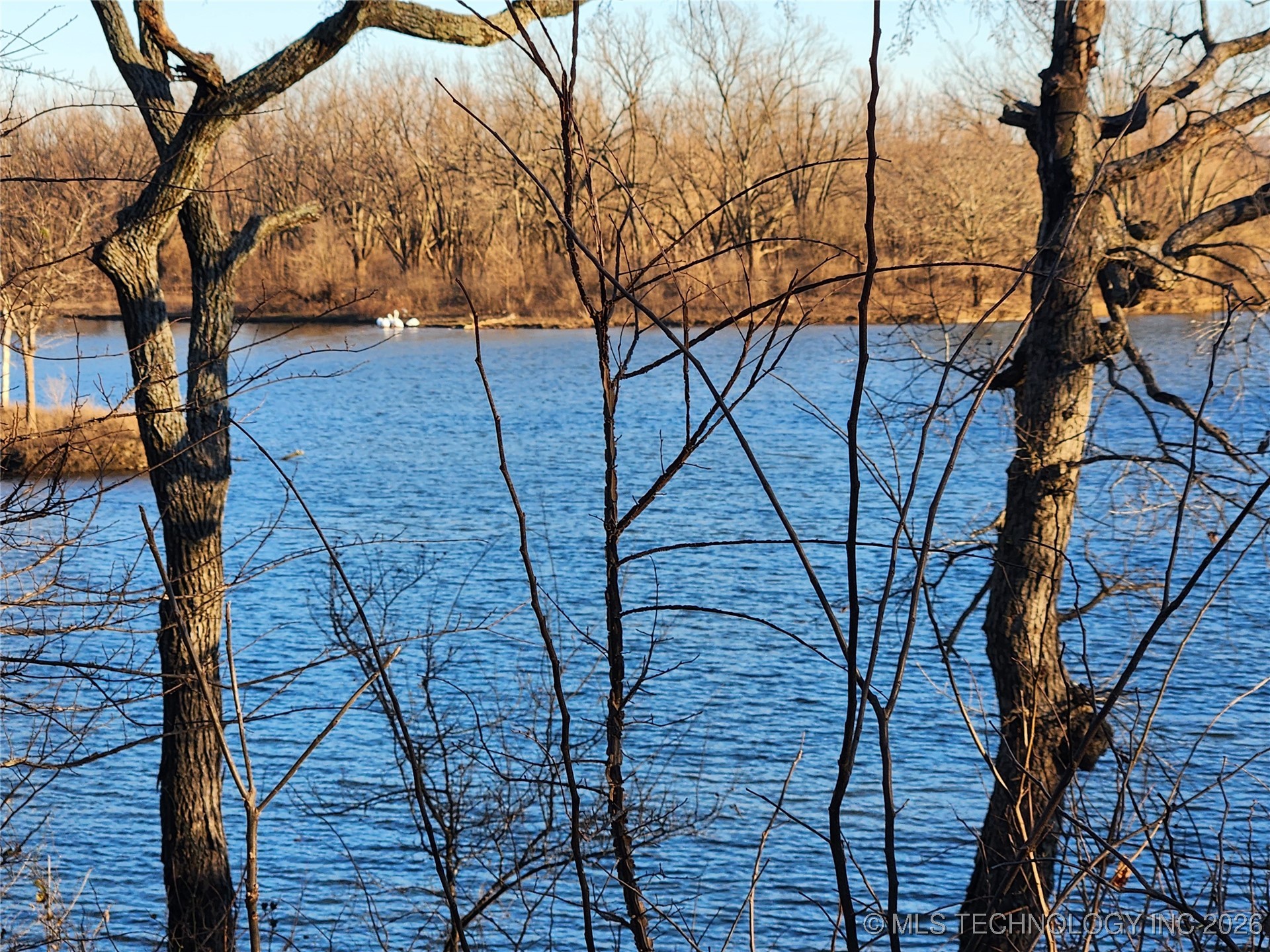 425 Leisure Land Property Photo 5