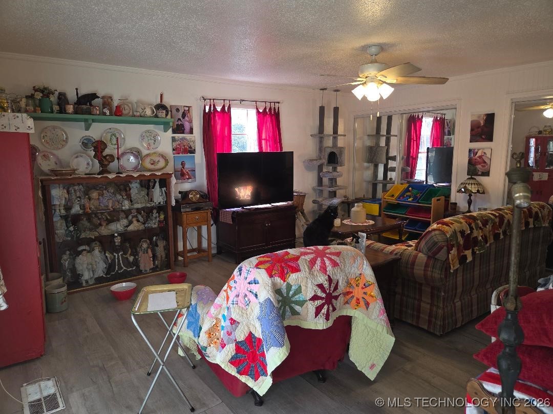 501 High Property Photo 16