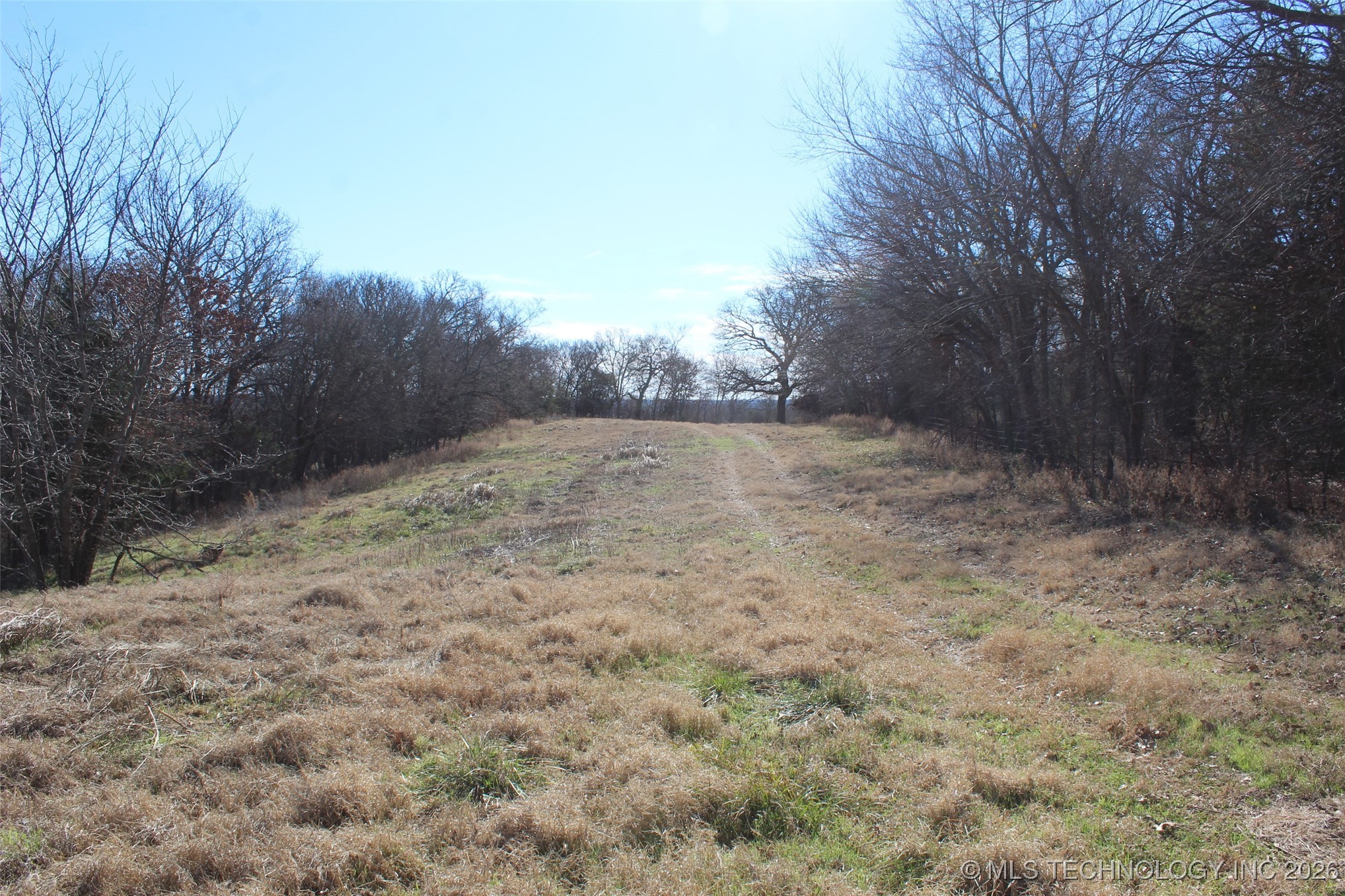 E County Road 1185 Property Photo 20