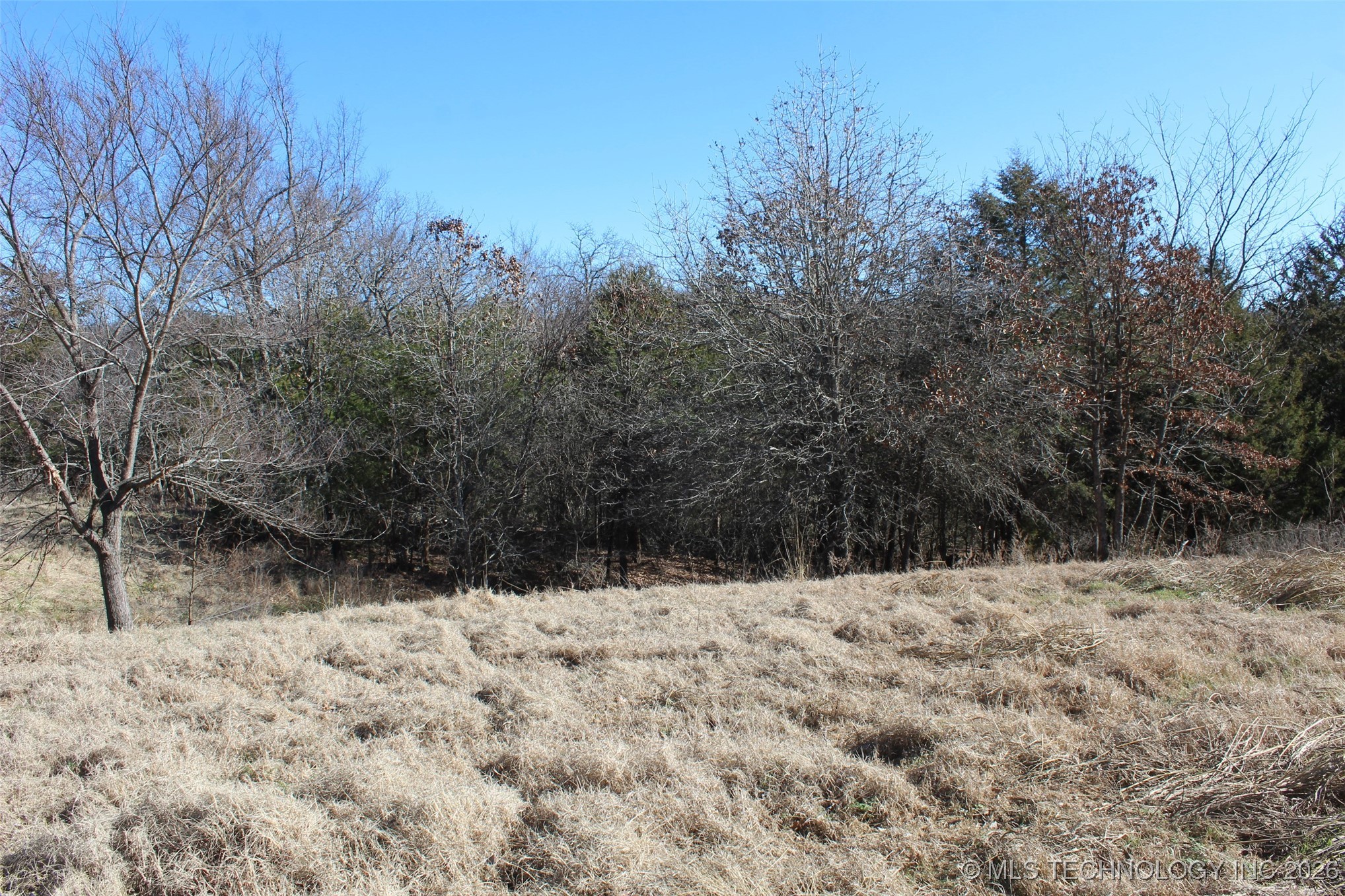 E County Road 1185 Property Photo 21