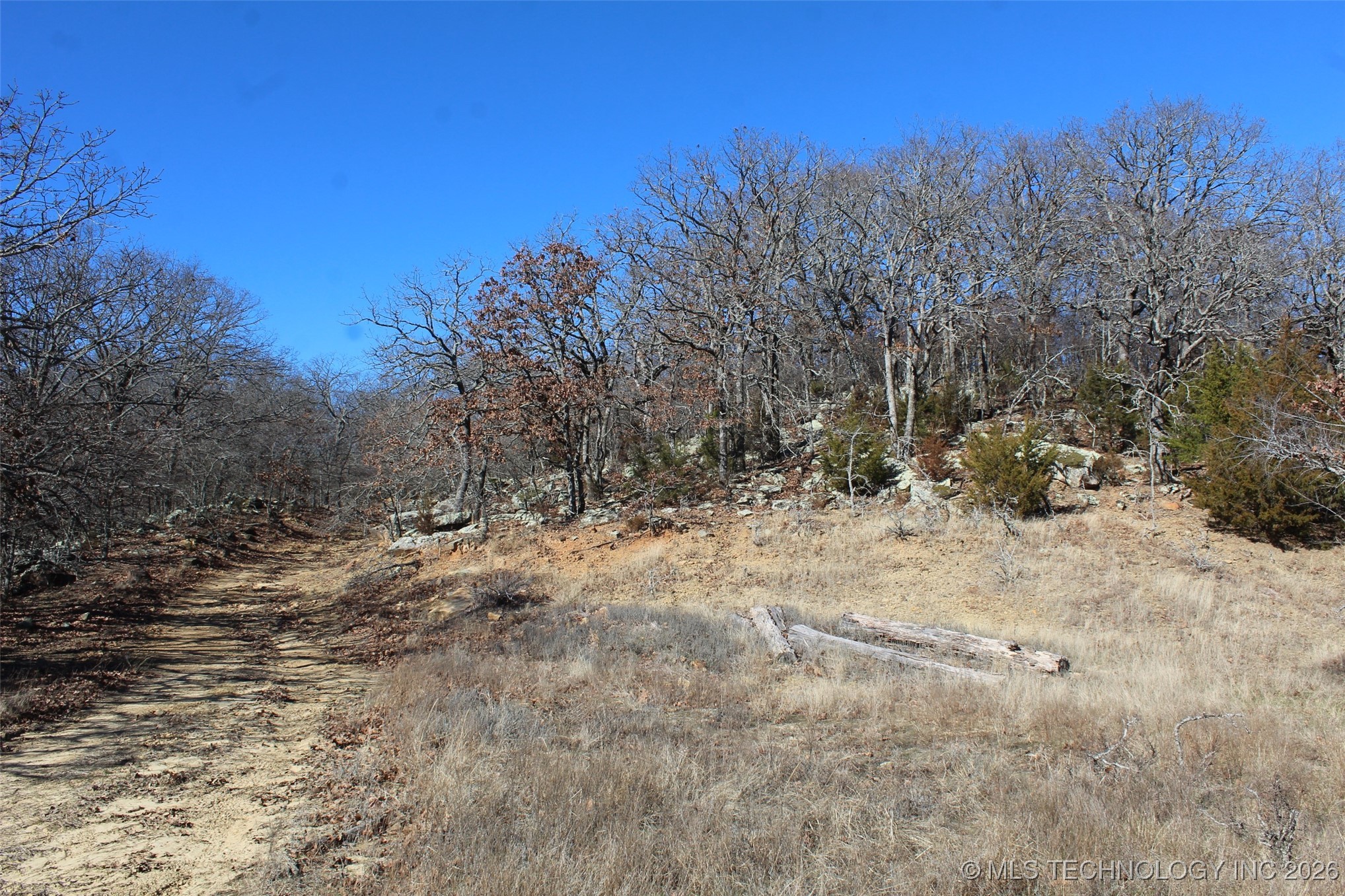 E County Road 1185 Property Photo 22