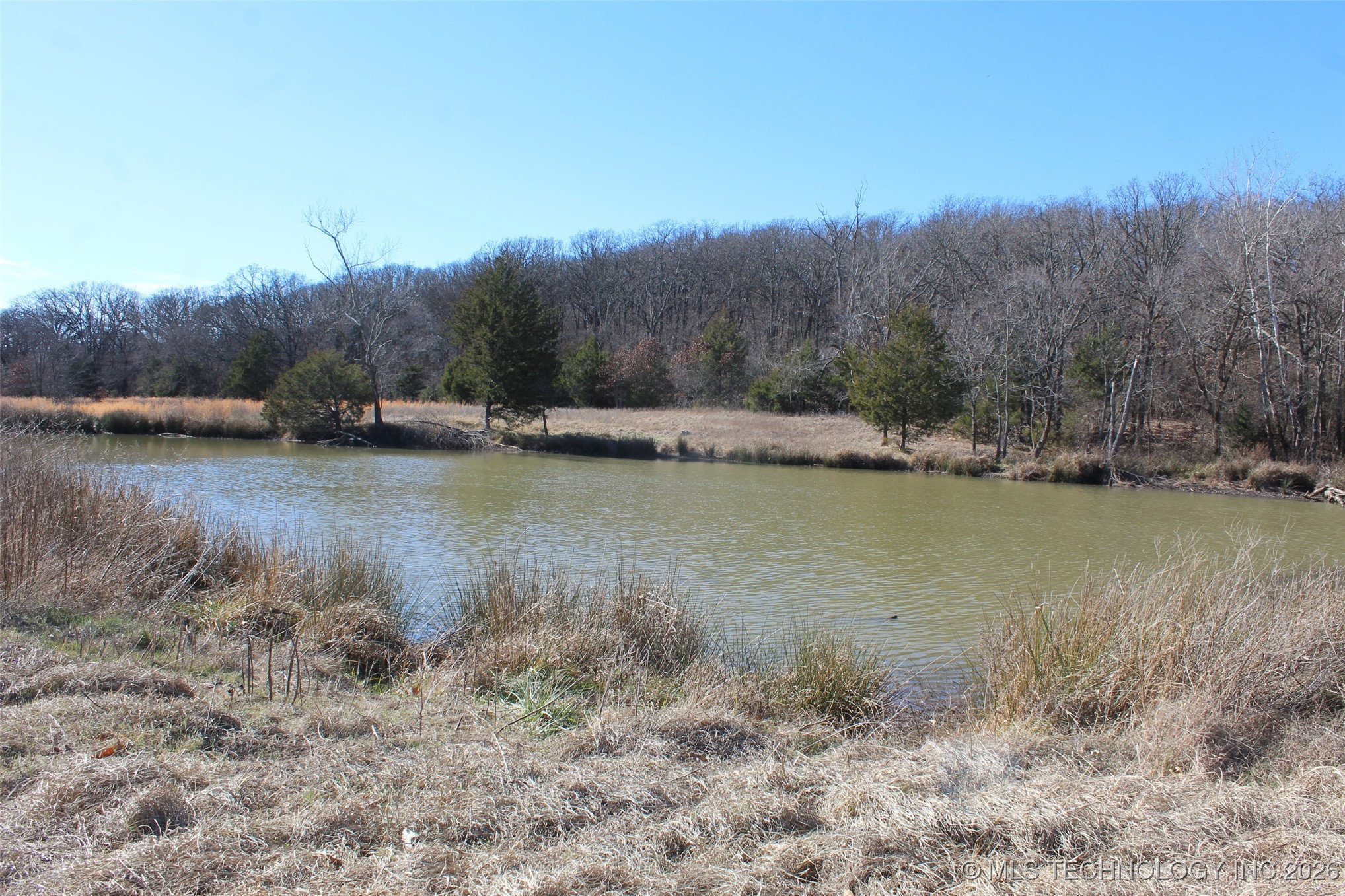 E County Road 1185 Property Photo 24