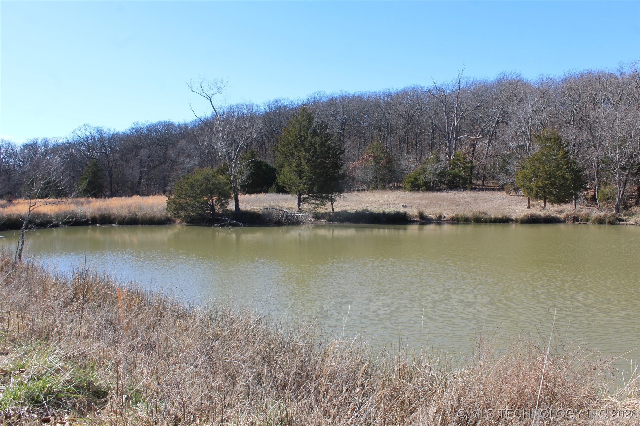 E County Road 1185 Property Photo 28