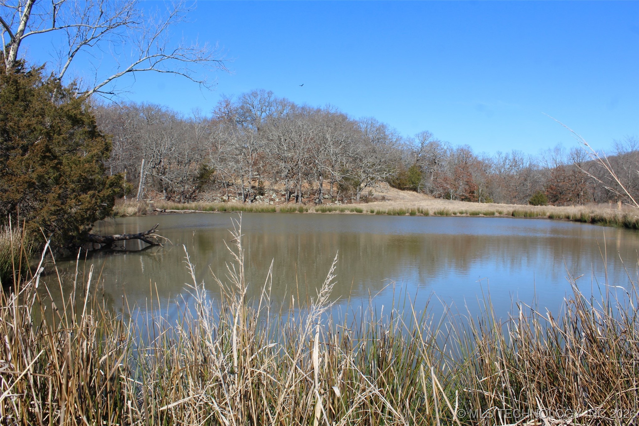 E County Road 1185 Property Photo 30