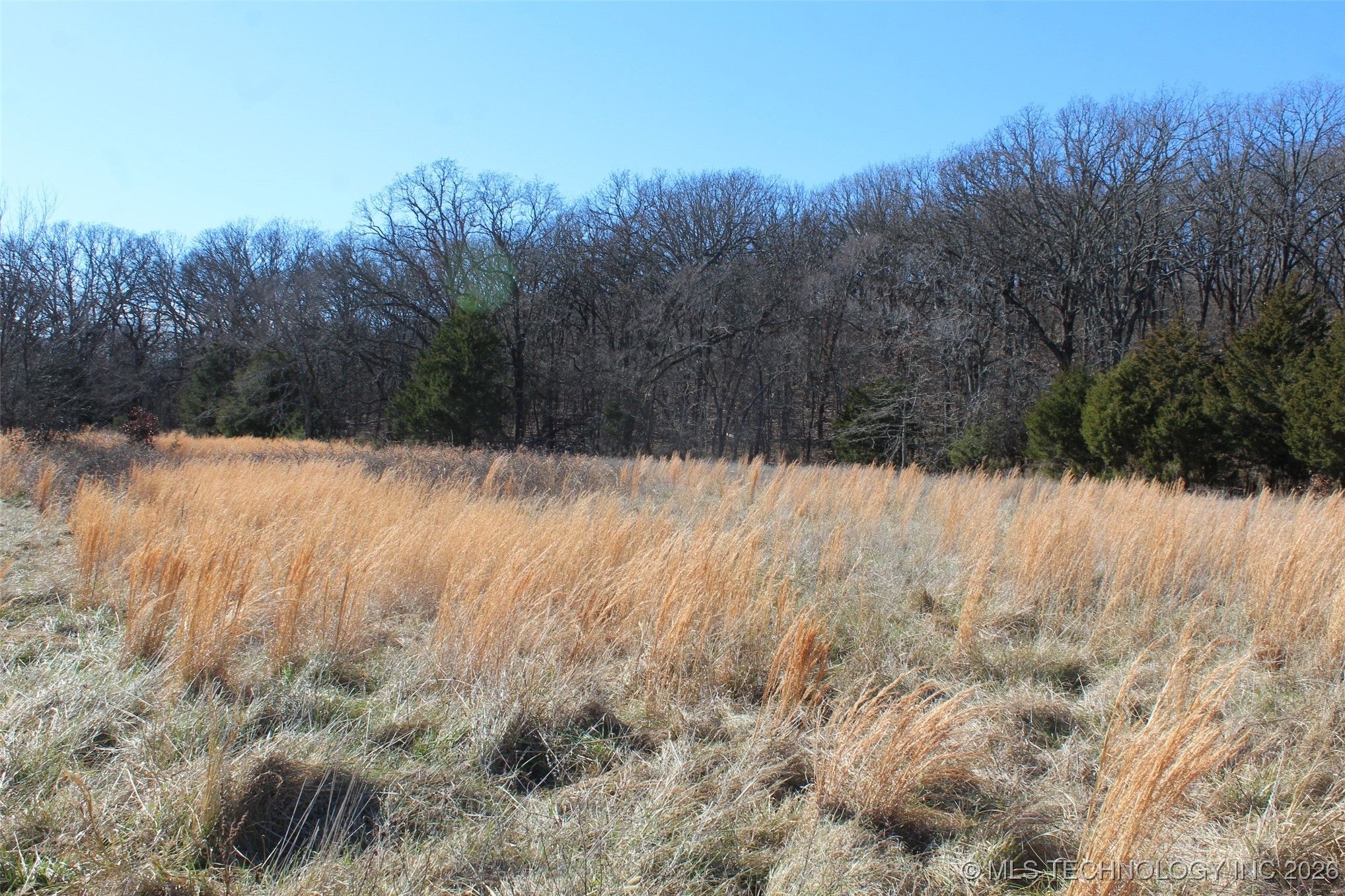 E County Road 1185 Property Photo 31