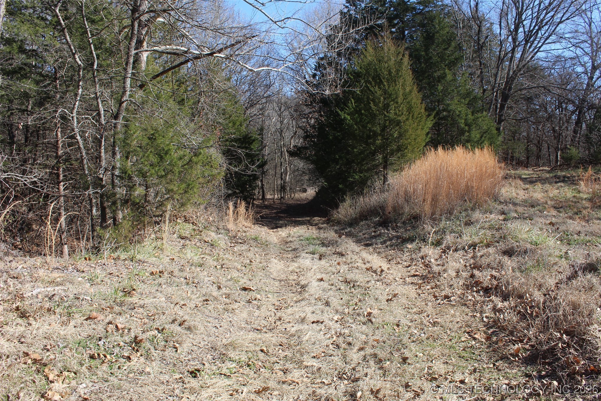 E County Road 1185 Property Photo 32