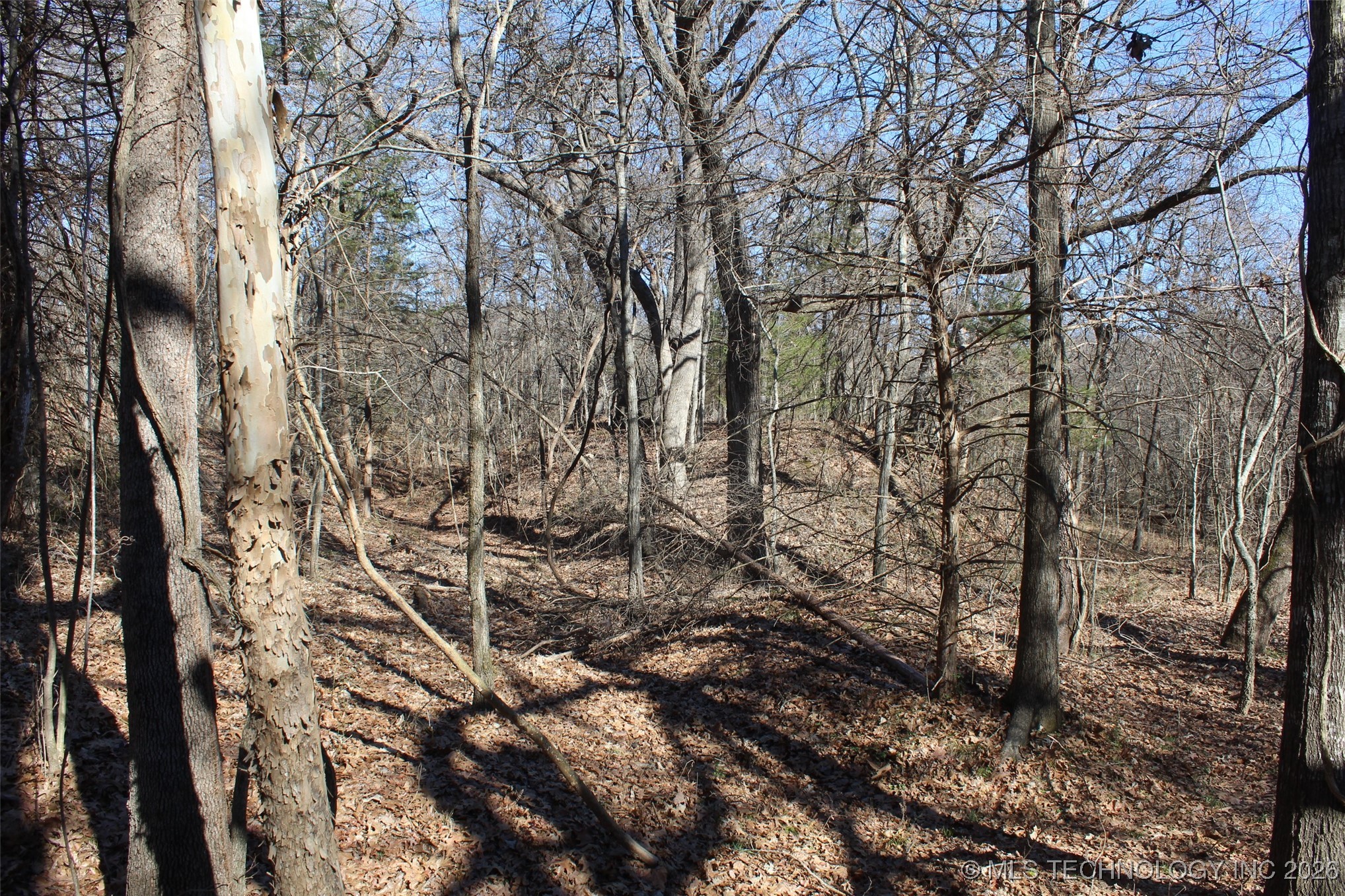 E County Road 1185 Property Photo 33