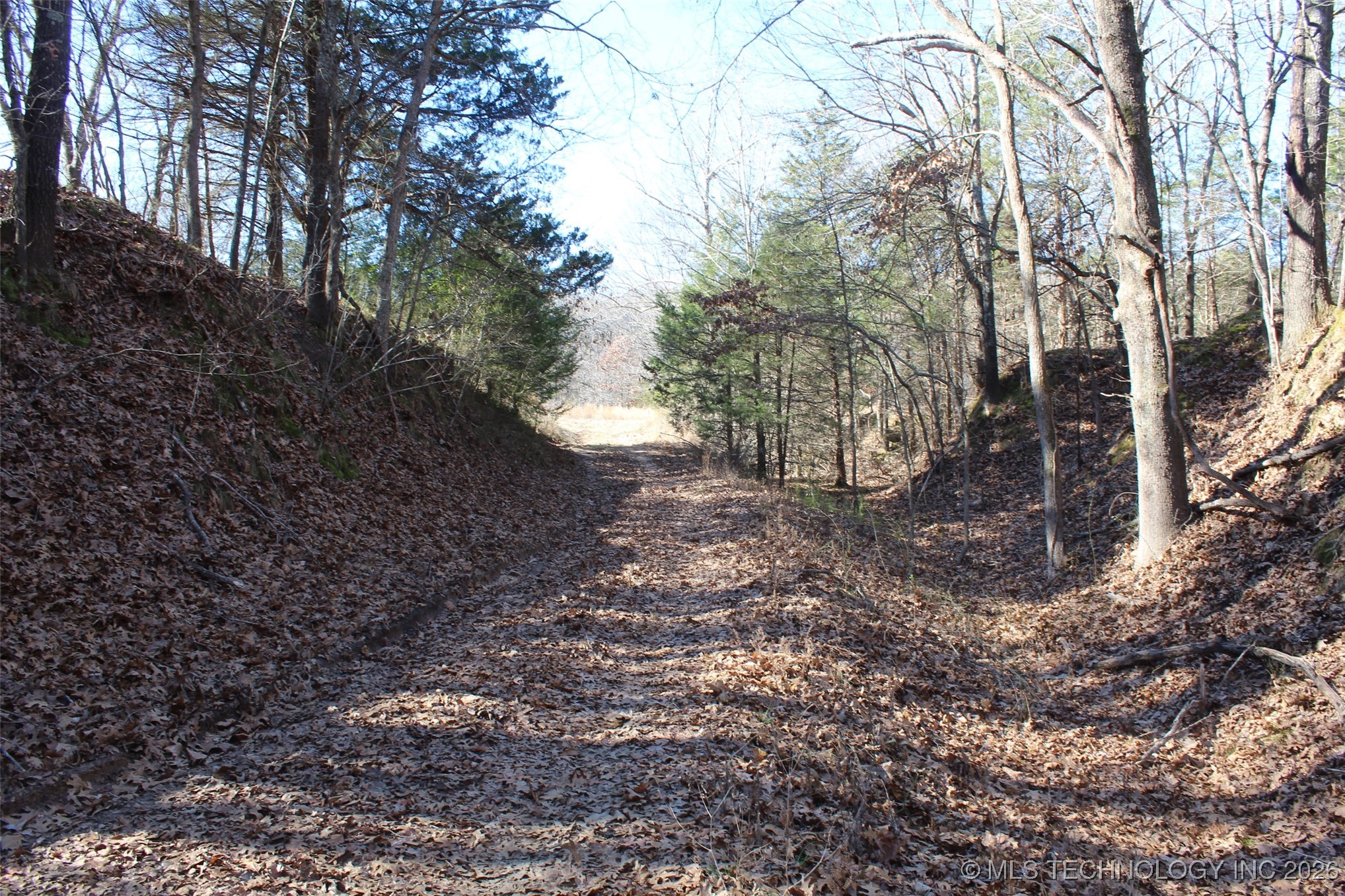 E County Road 1185 Property Photo 34