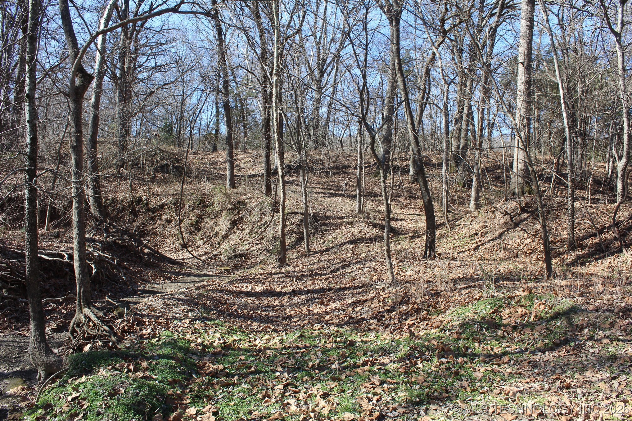 E County Road 1185 Property Photo 35