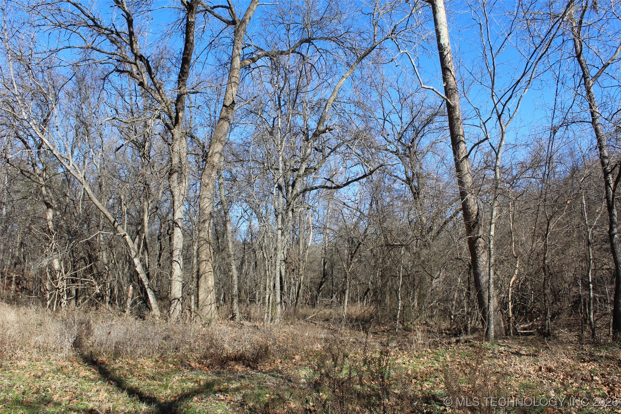 E County Road 1185 Property Photo 36