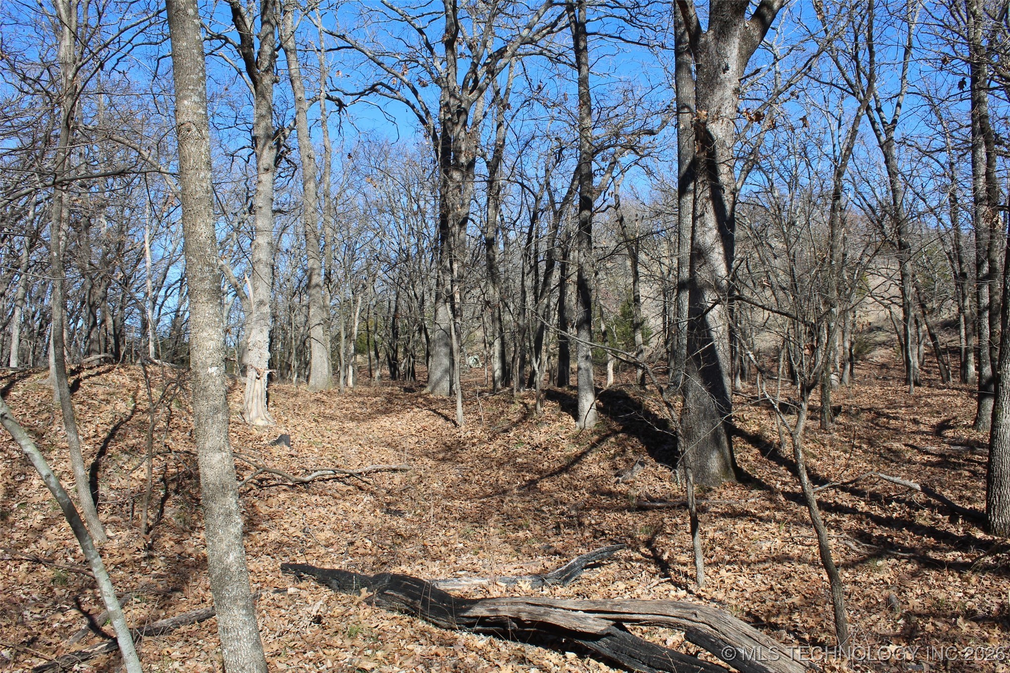 E County Road 1185 Property Photo 37