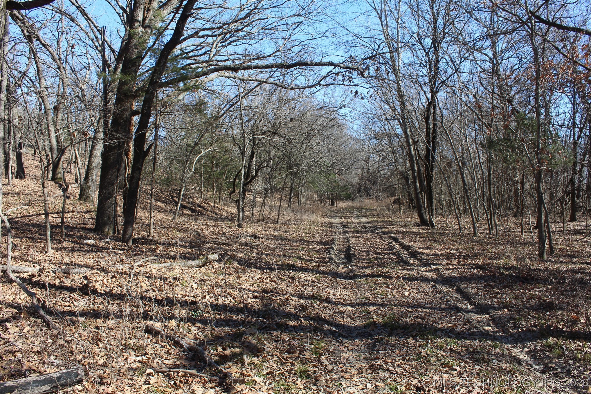 E County Road 1185 Property Photo 38