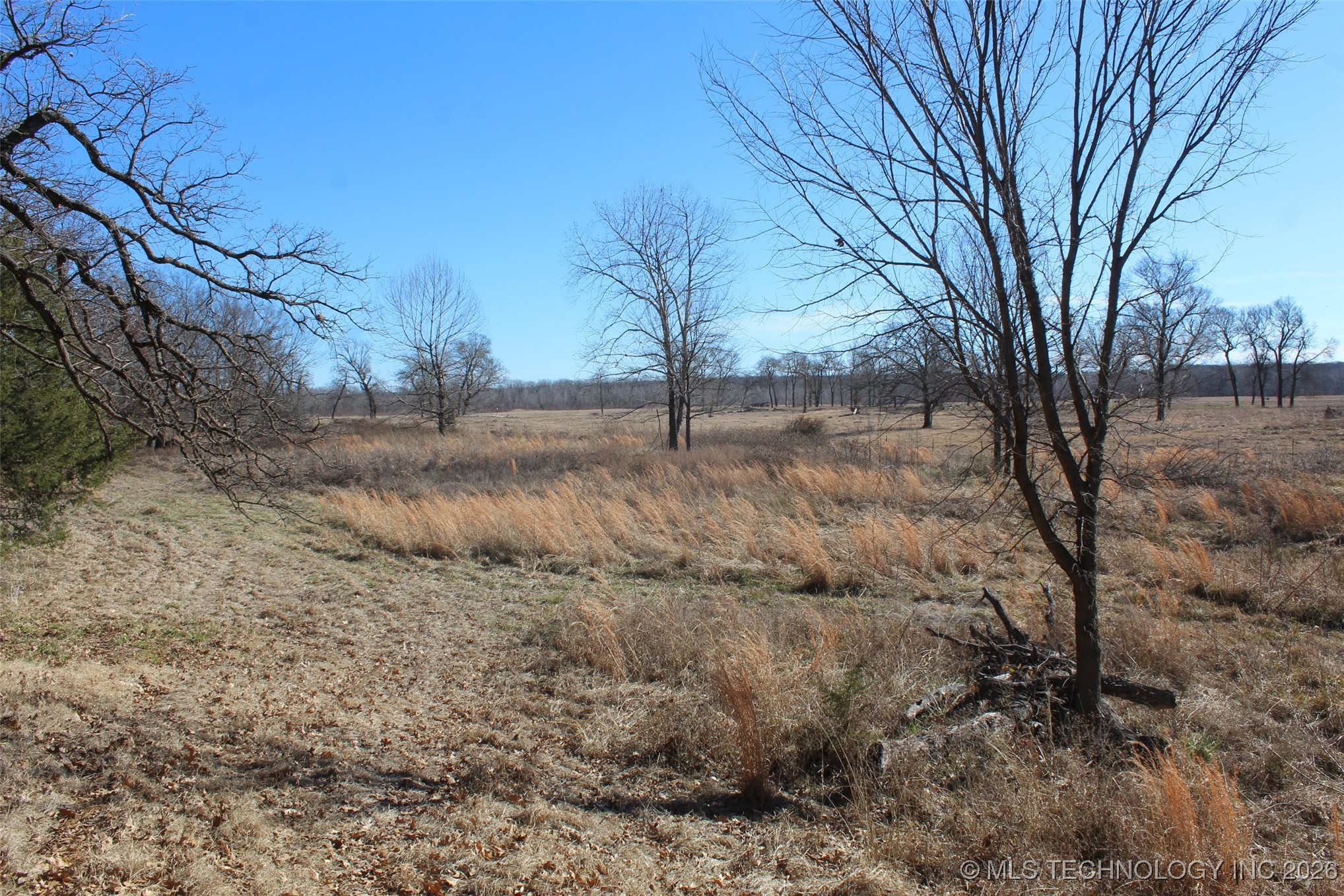 E County Road 1185 Property Photo 39