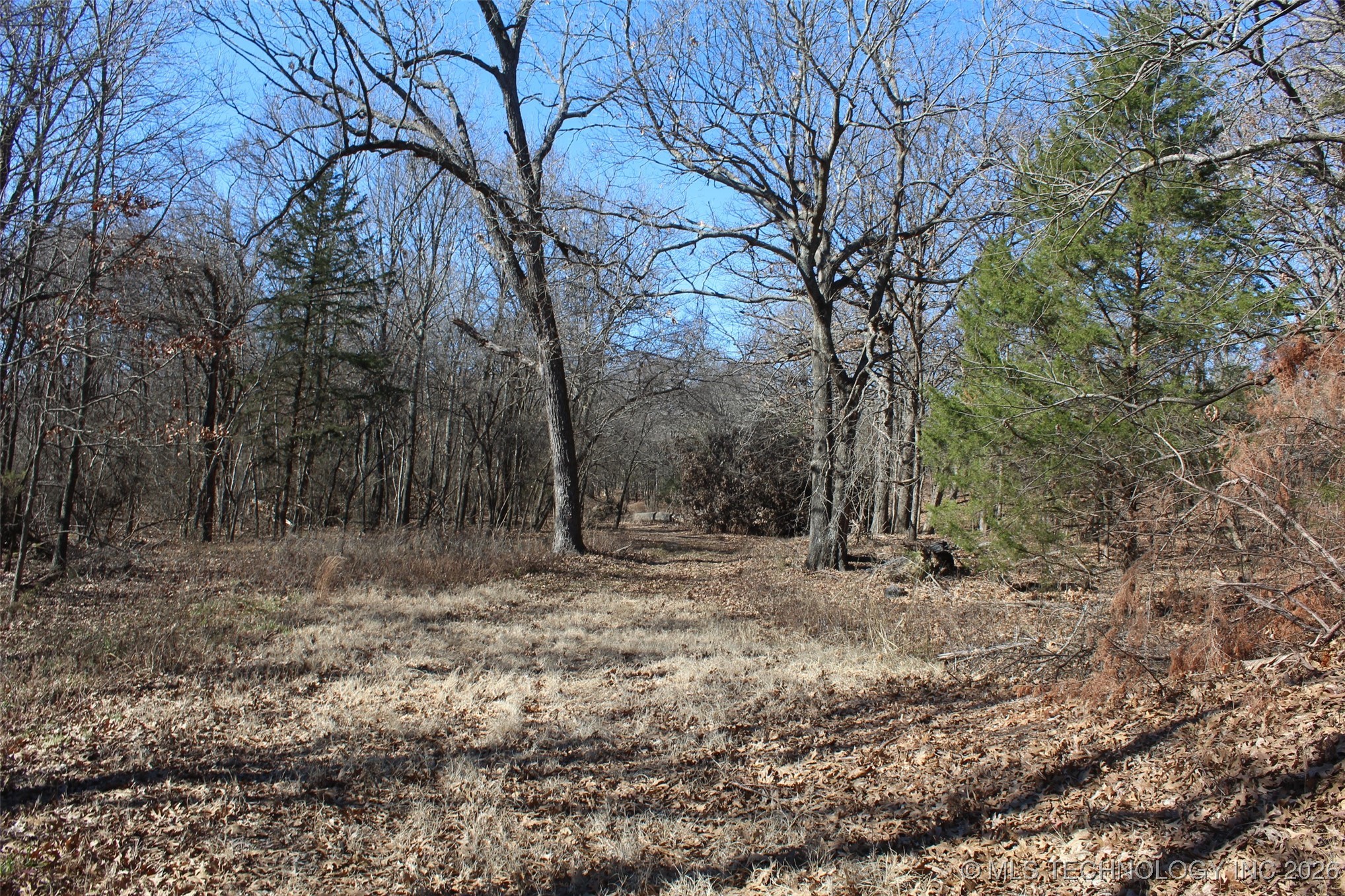 E County Road 1185 Property Photo 40