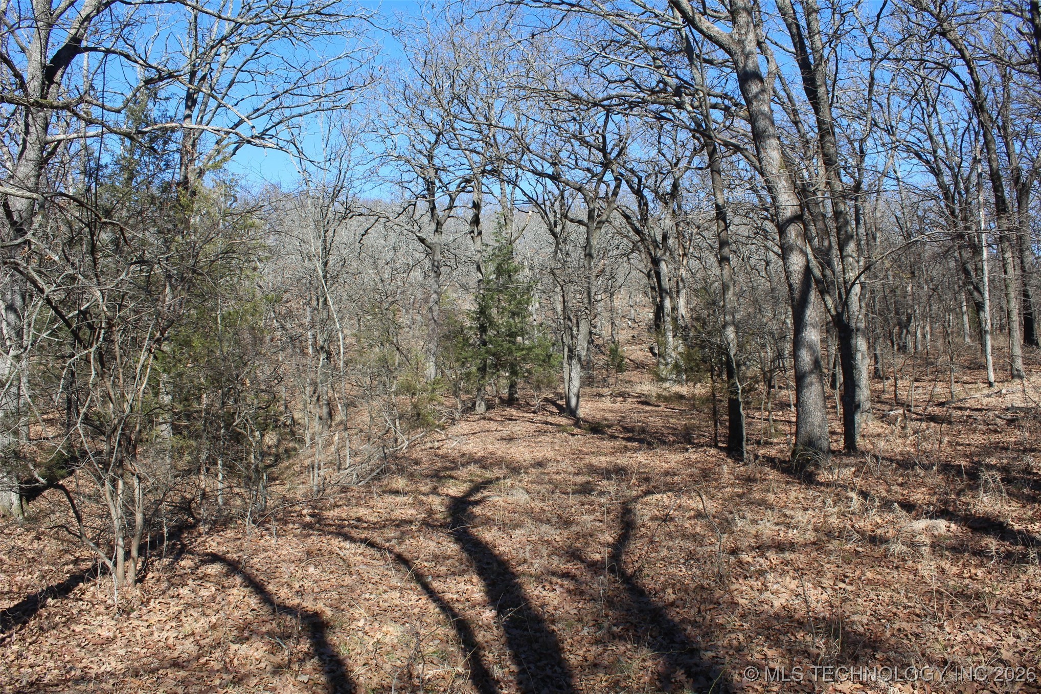 E County Road 1185 Property Photo 41