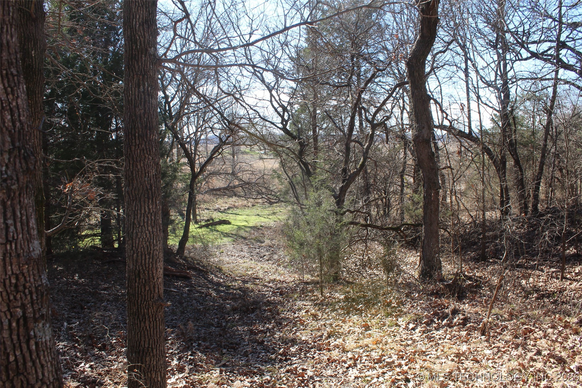 E County Road 1185 Property Photo 42