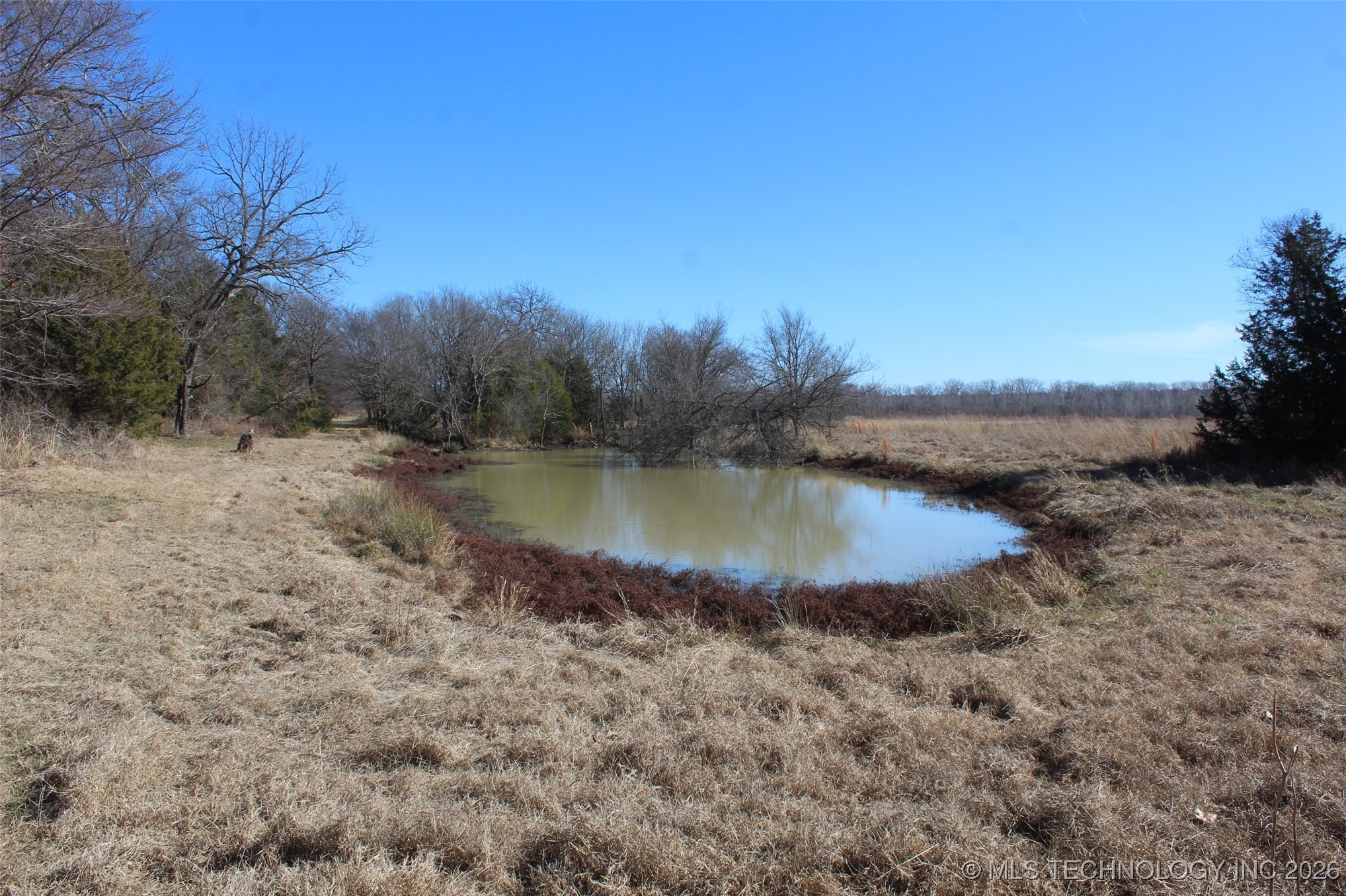 E County Road 1185 Property Photo 43