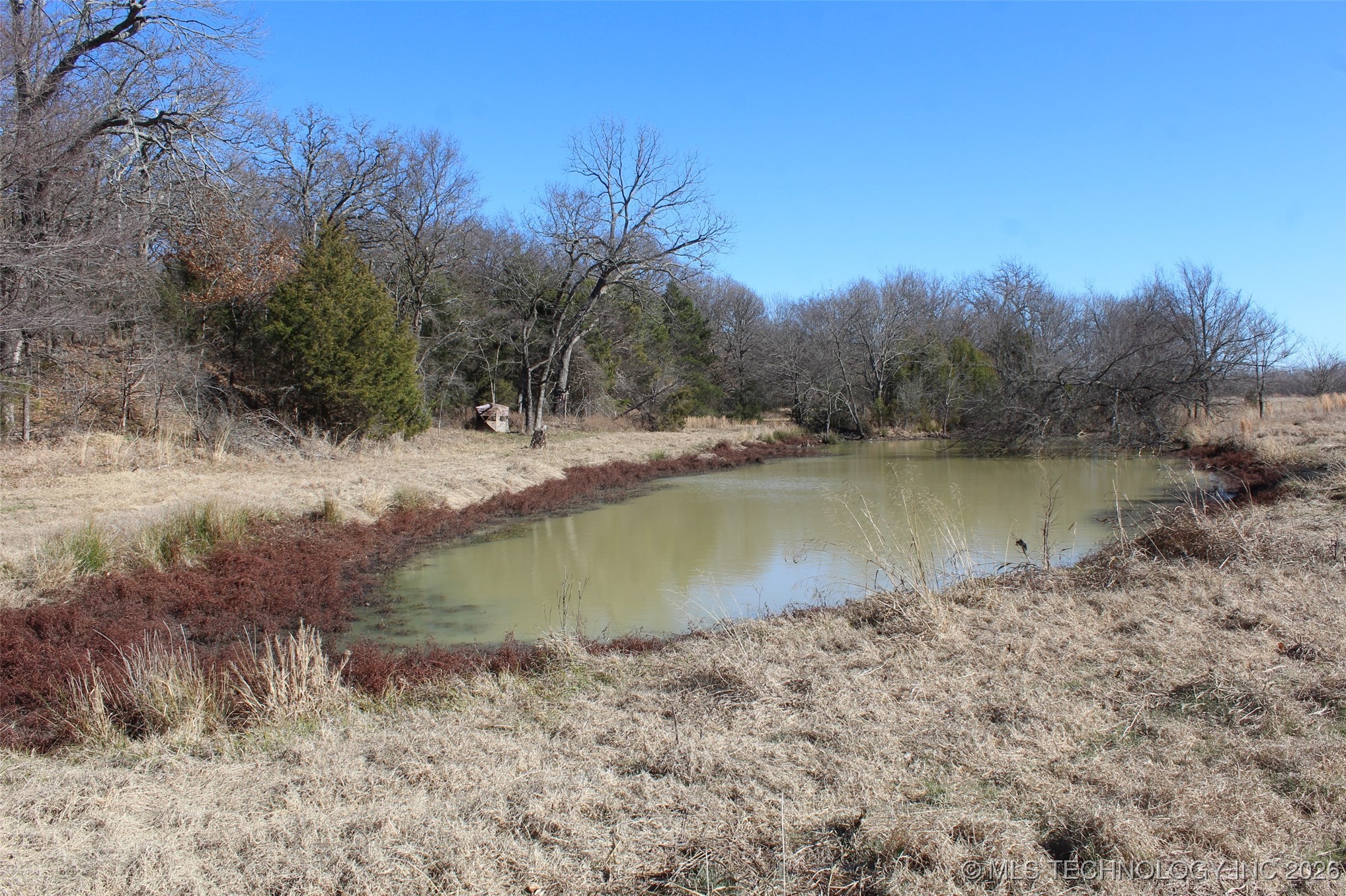 E County Road 1185 Property Photo 44