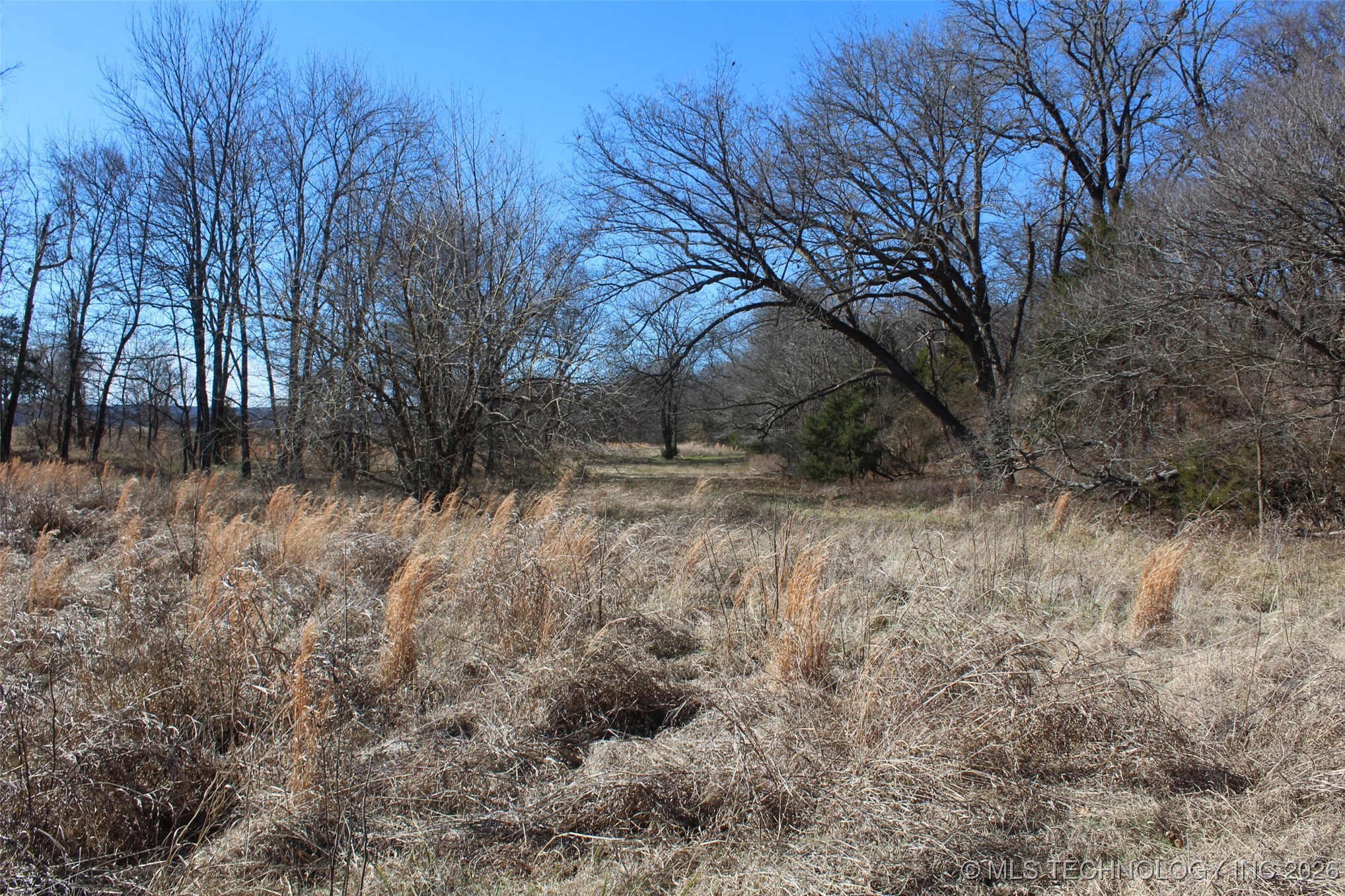 E County Road 1185 Property Photo 45