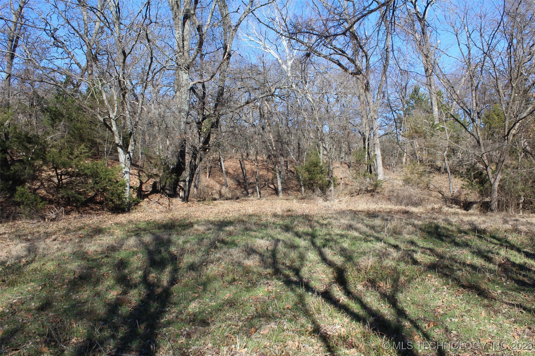 E County Road 1185 Property Photo 46