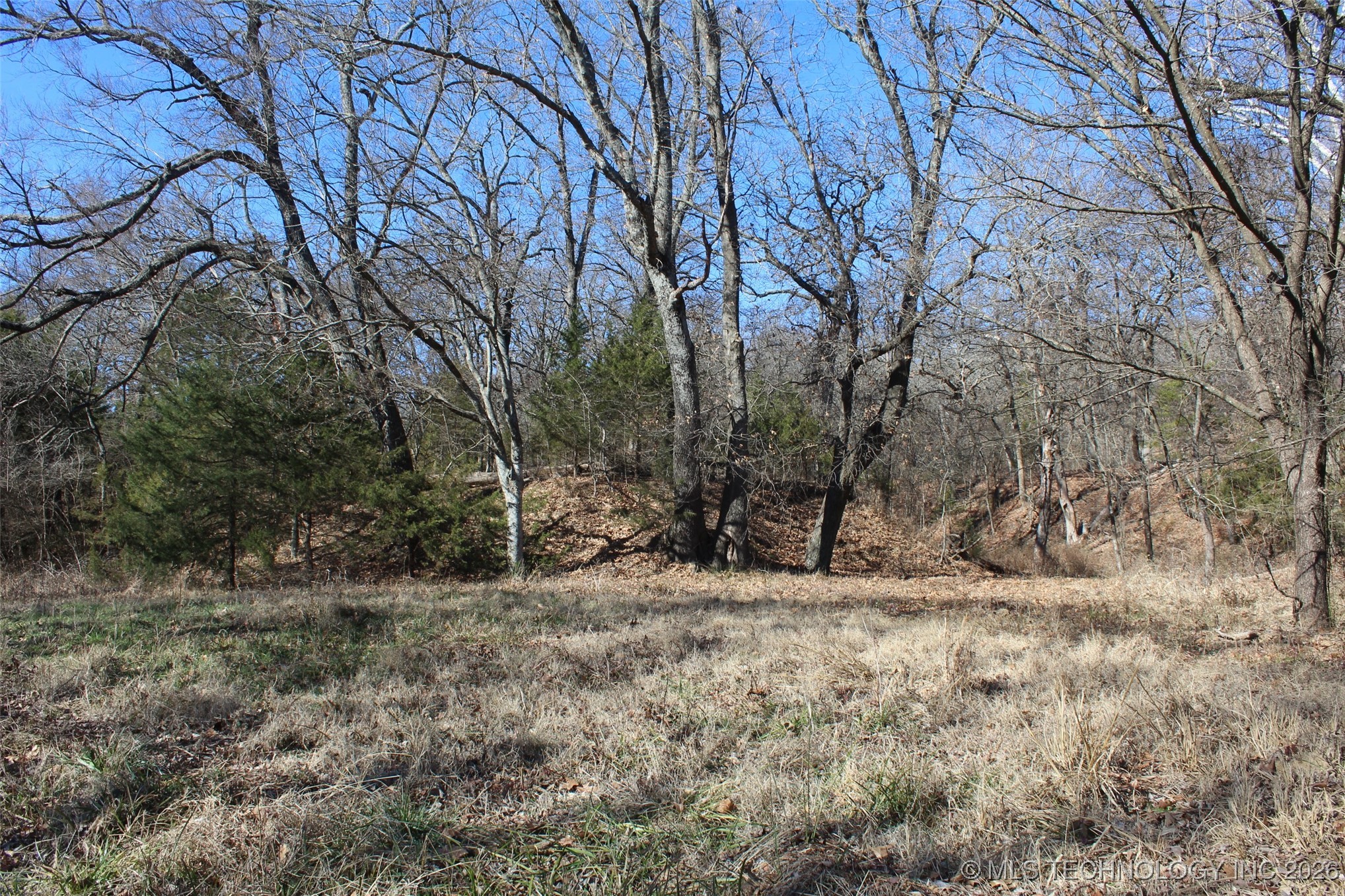 E County Road 1185 Property Photo 47