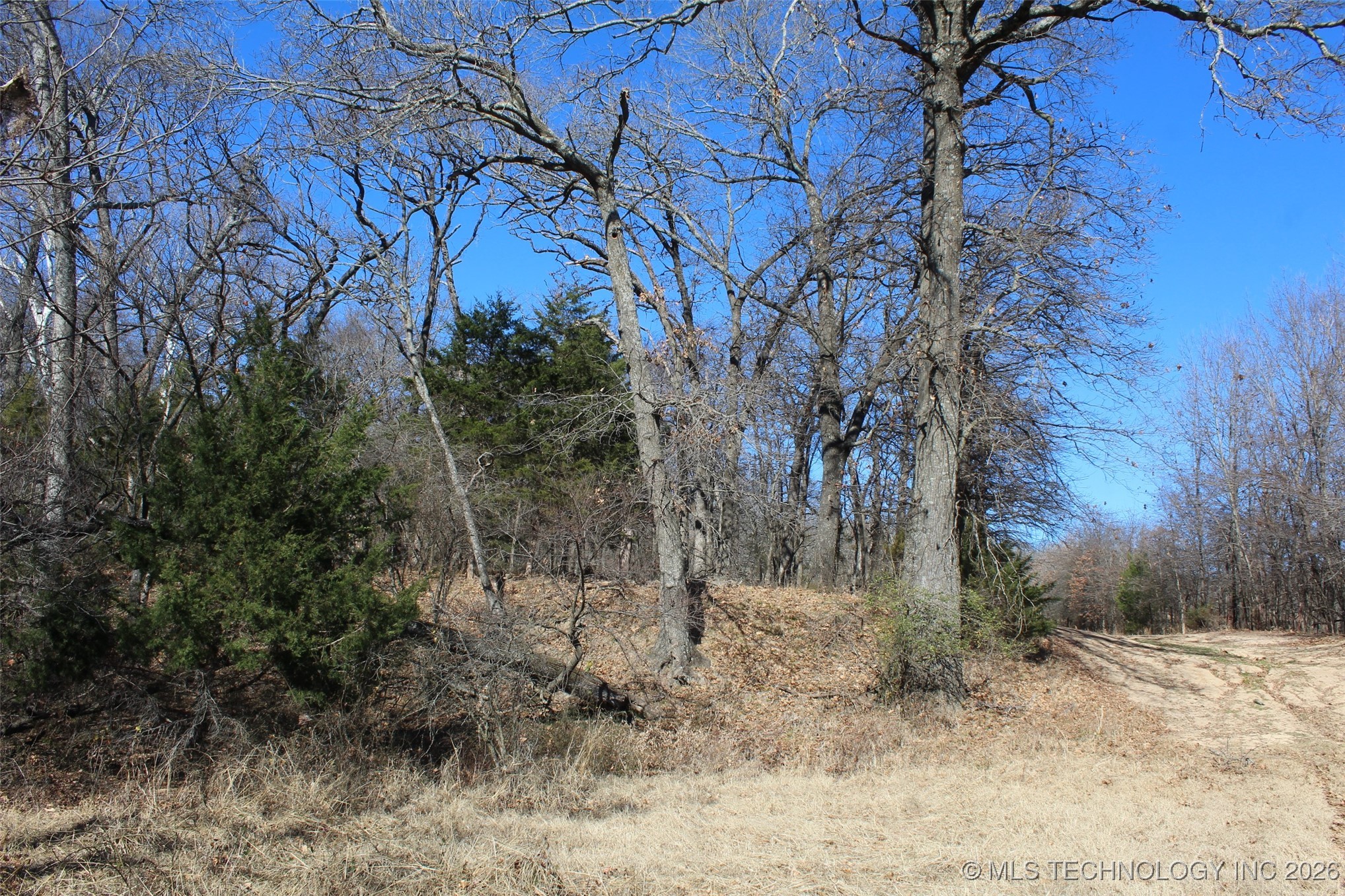 E County Road 1185 Property Photo 48