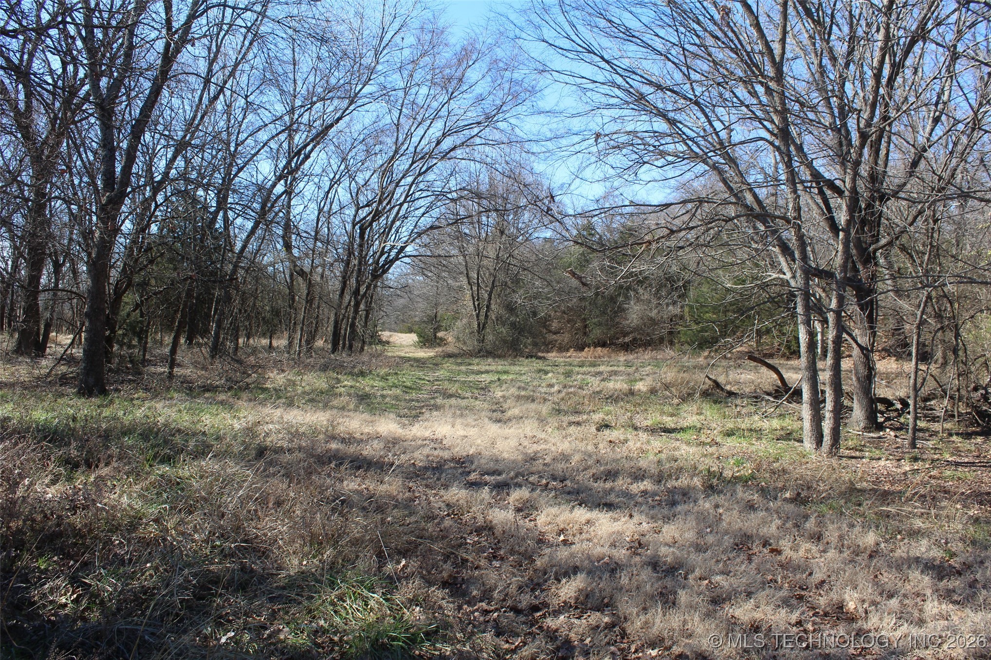 E County Road 1185 Property Photo 49