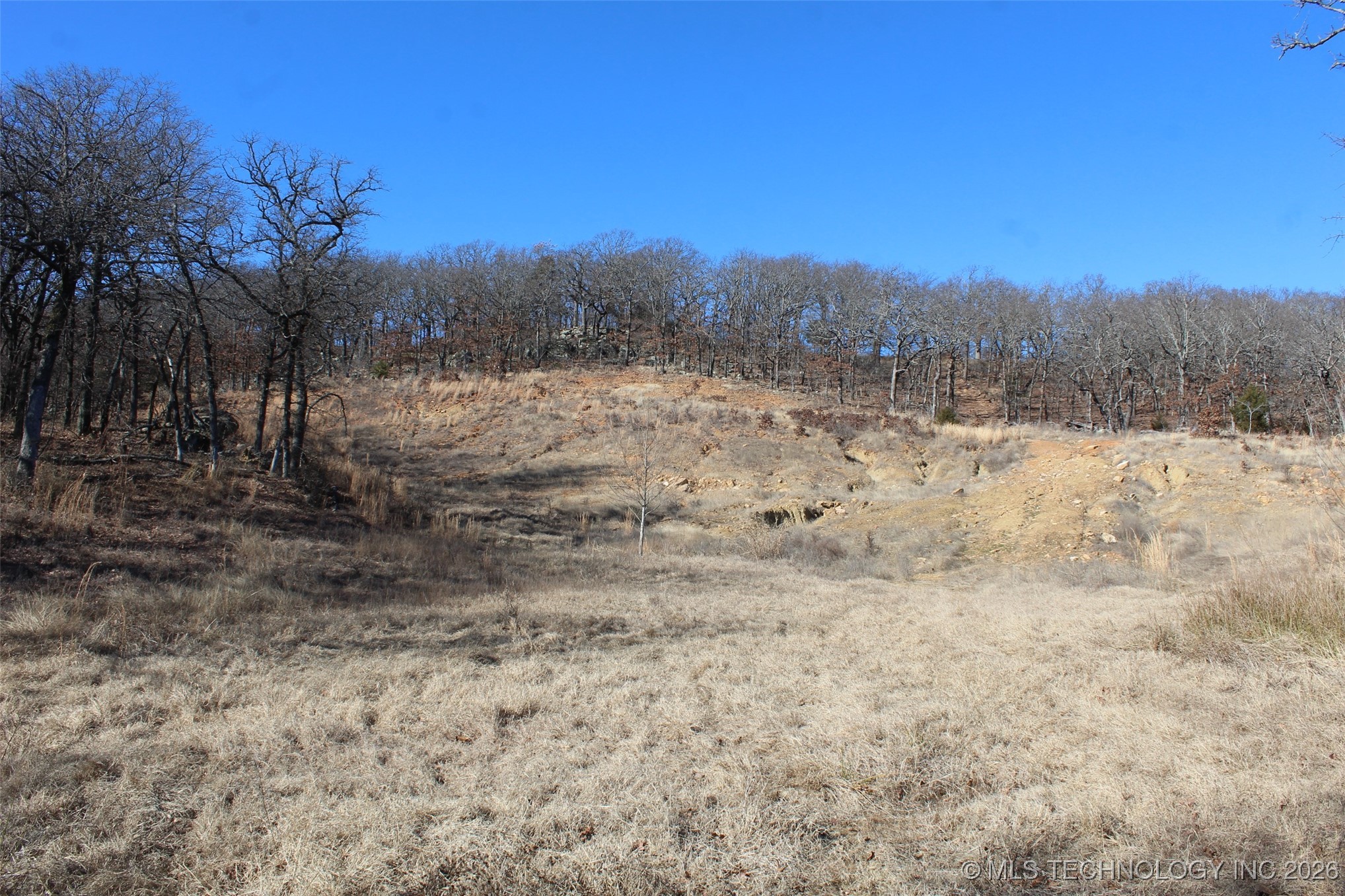 E County Road 1185 Property Photo 50