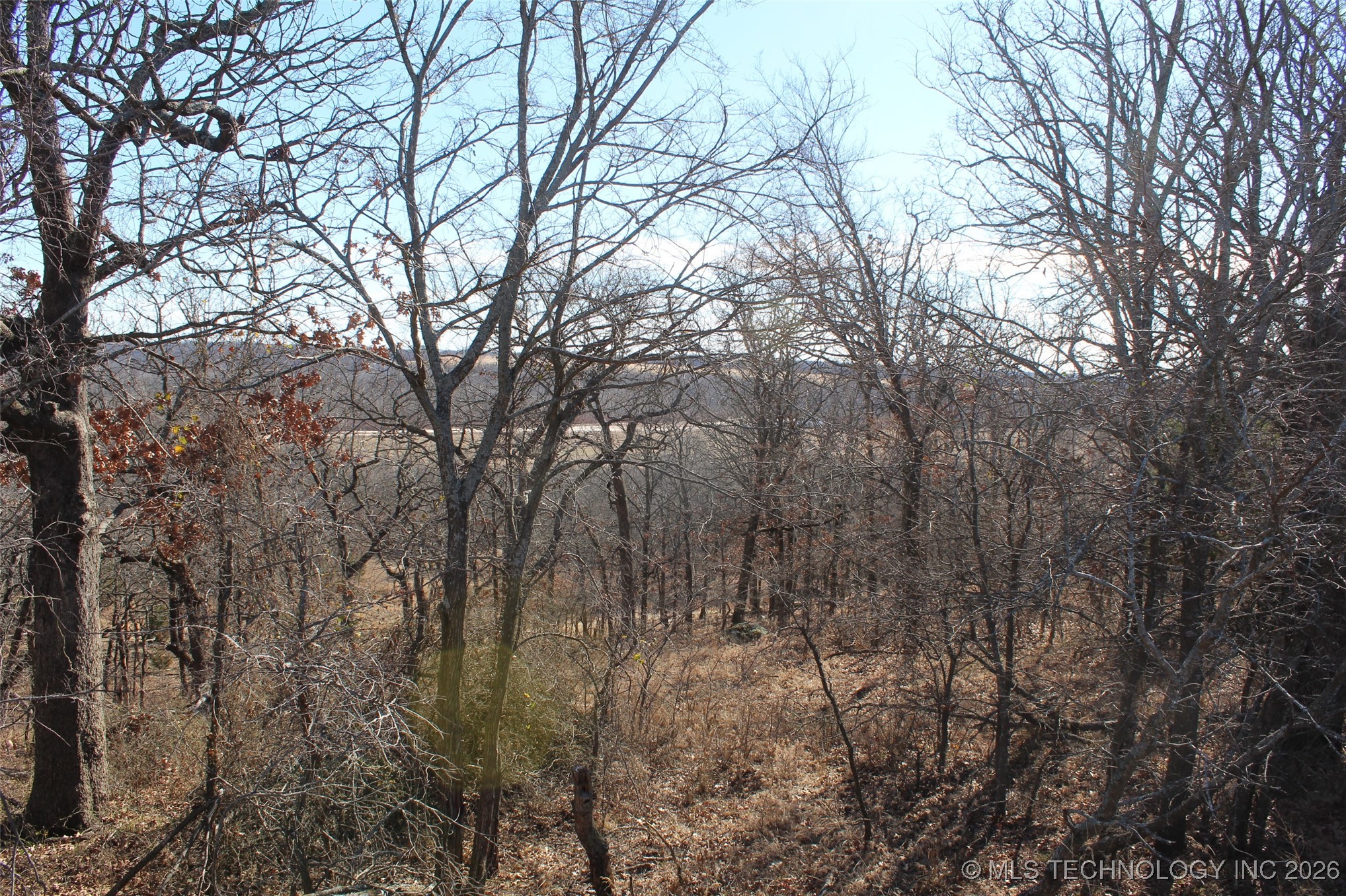 E County Road 1185 Property Photo 53