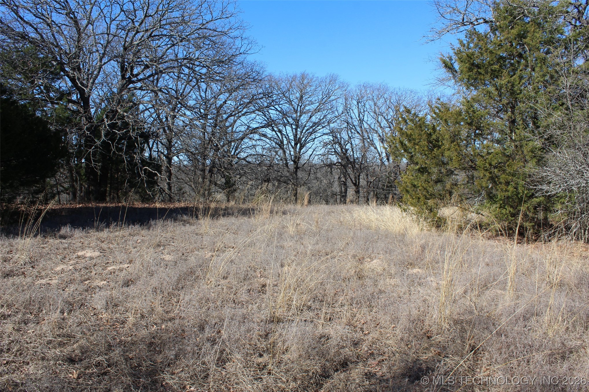 E County Road 1185 Property Photo 54