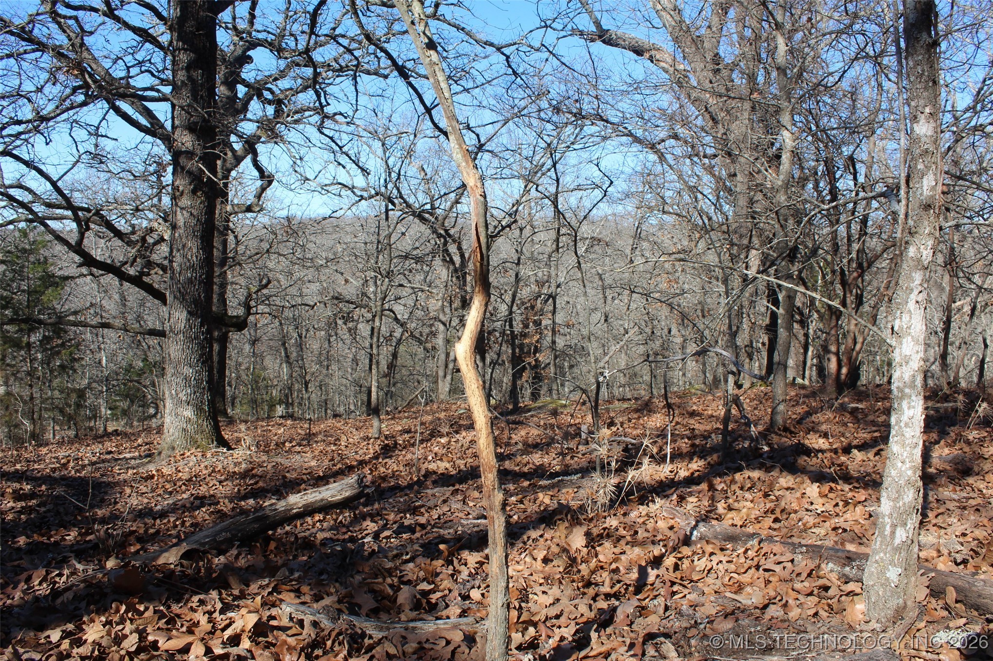 E County Road 1185 Property Photo 55