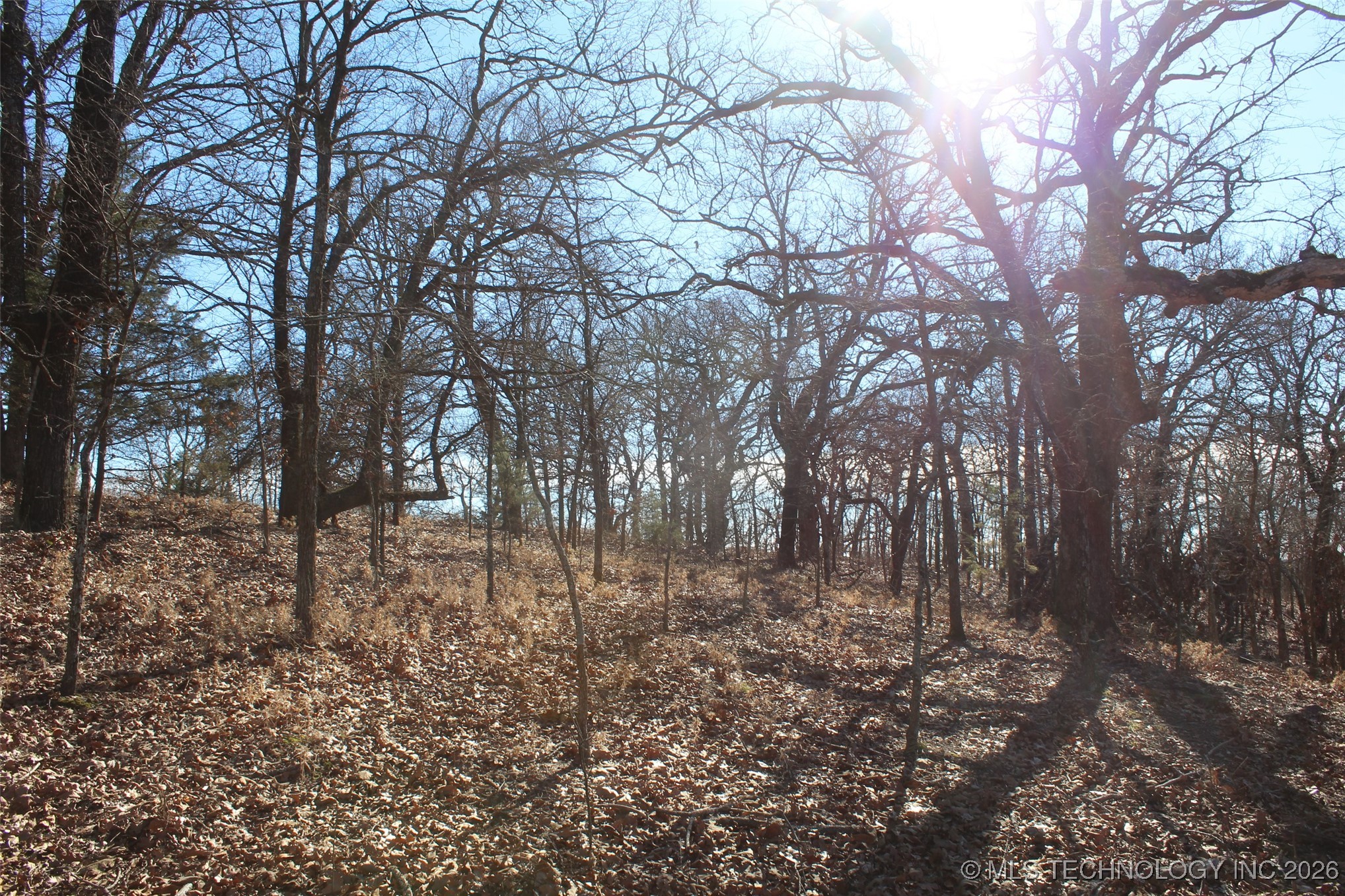 E County Road 1185 Property Photo 56
