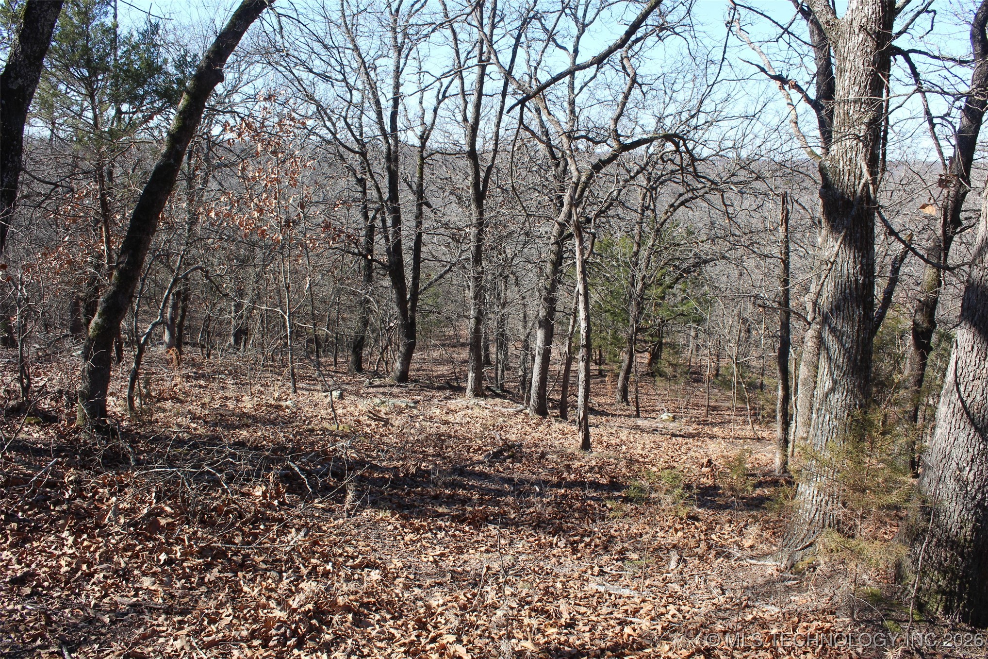 E County Road 1185 Property Photo 57