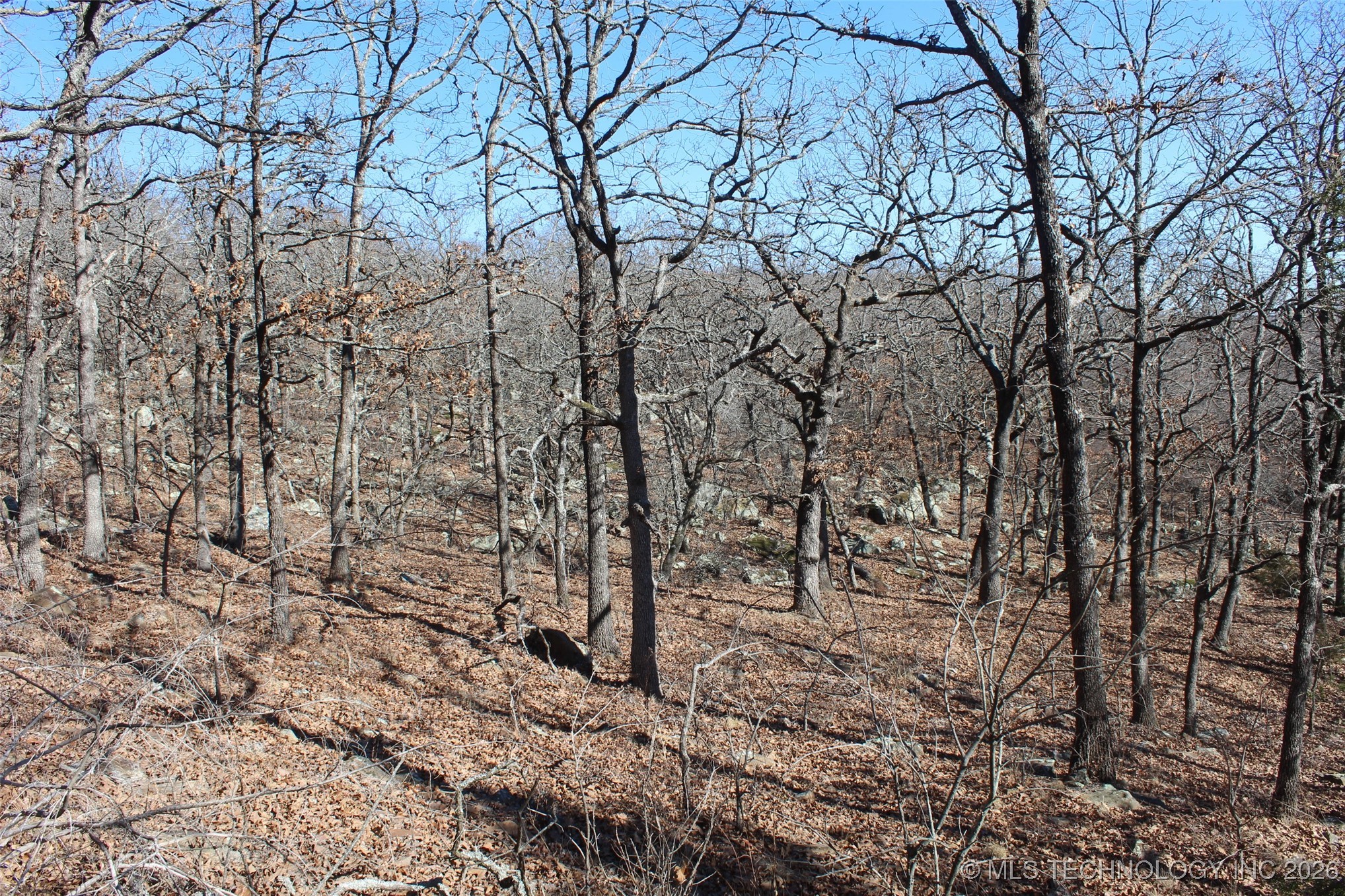 E County Road 1185 Property Photo 59