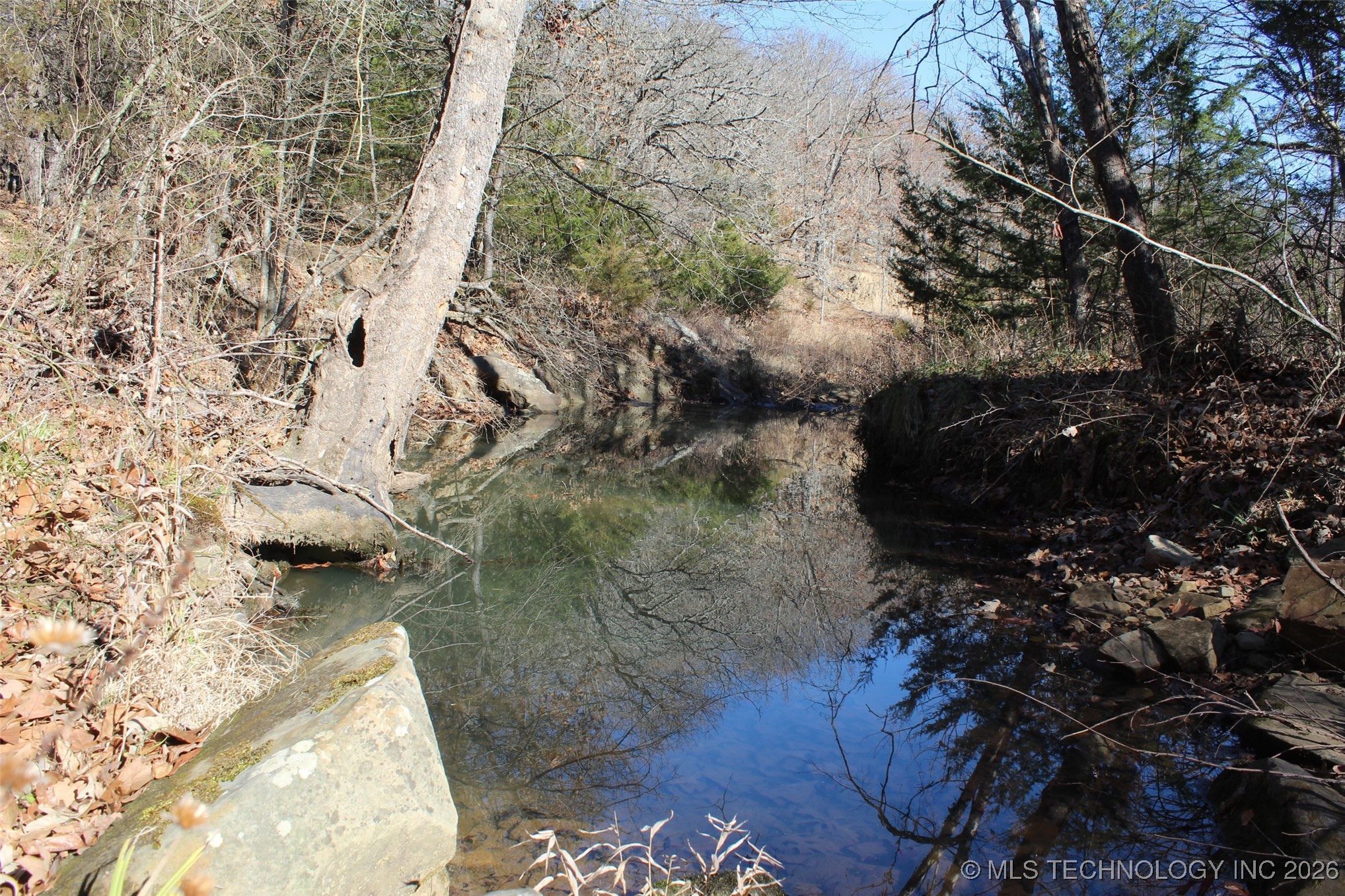 E County Road 1185 Property Photo 61