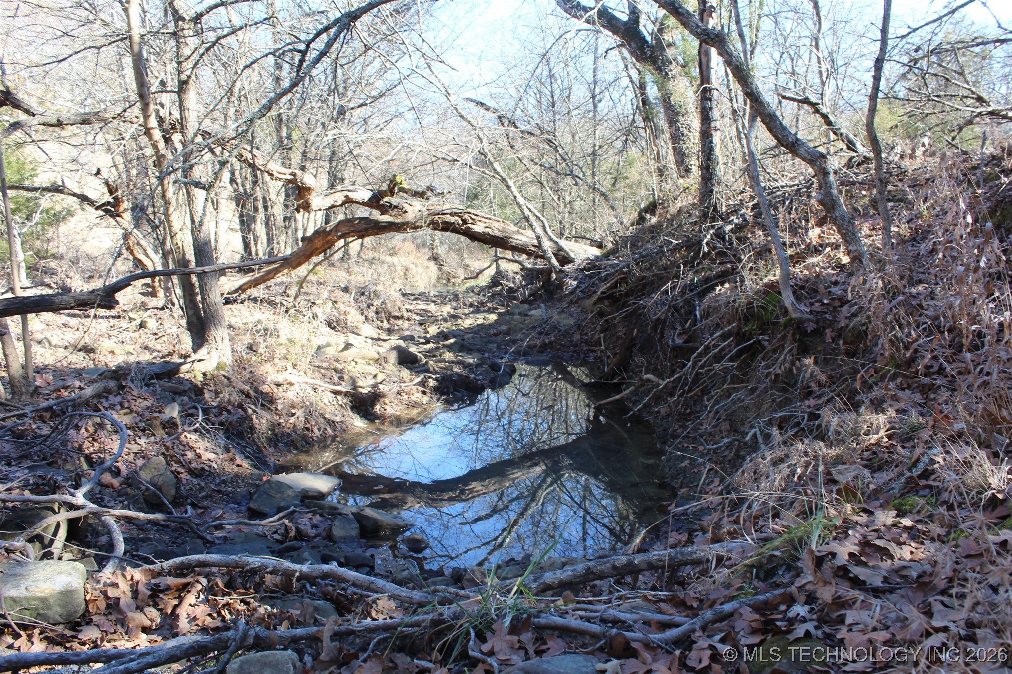 E County Road 1185 Property Photo 62