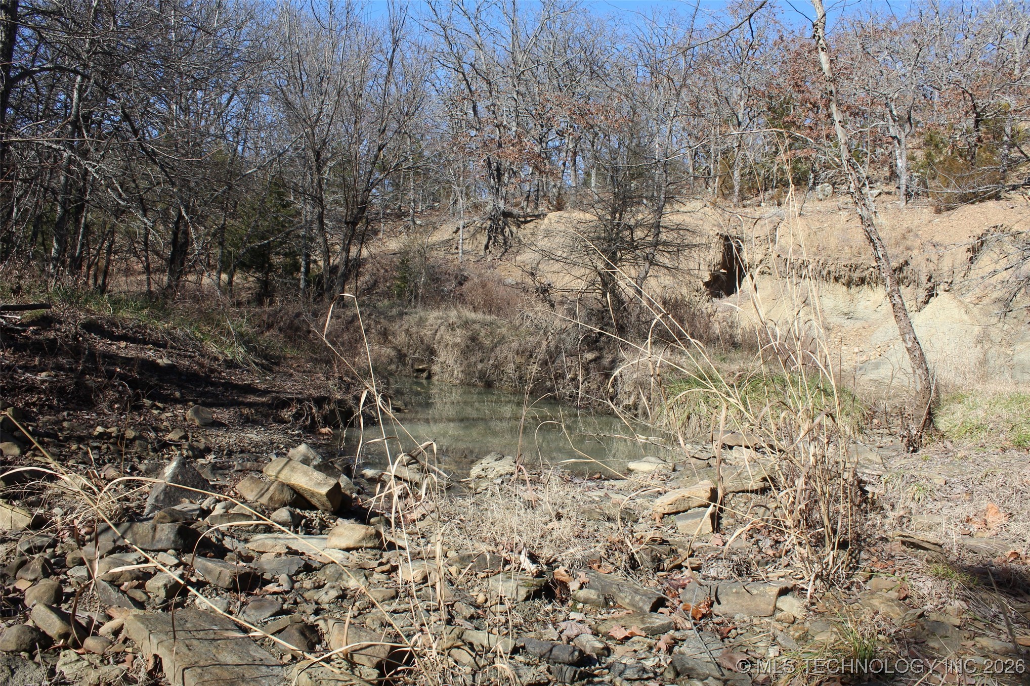 E County Road 1185 Property Photo 63