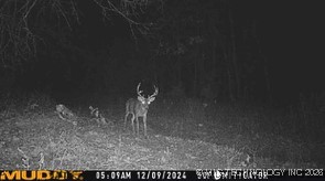 E County Road 1185 Property Photo 69