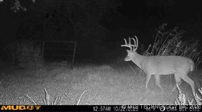 E County Road 1185 Property Photo 70