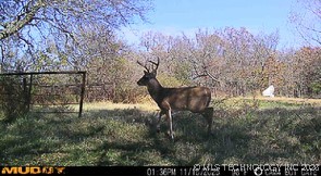 E County Road 1185 Property Photo 71