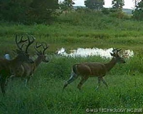 E County Road 1185 Property Photo 72