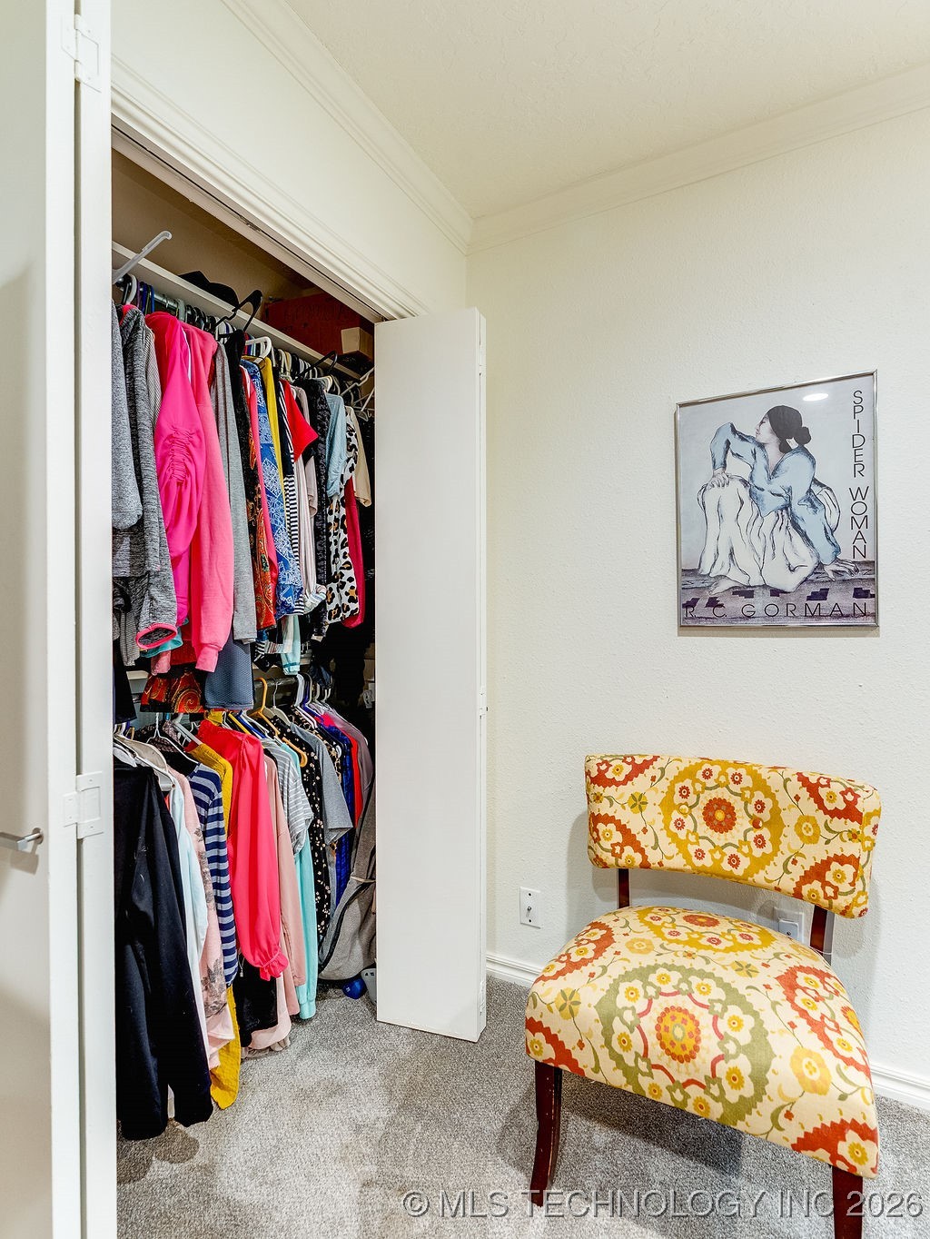 2507 Timber Terrace Property Photo 30