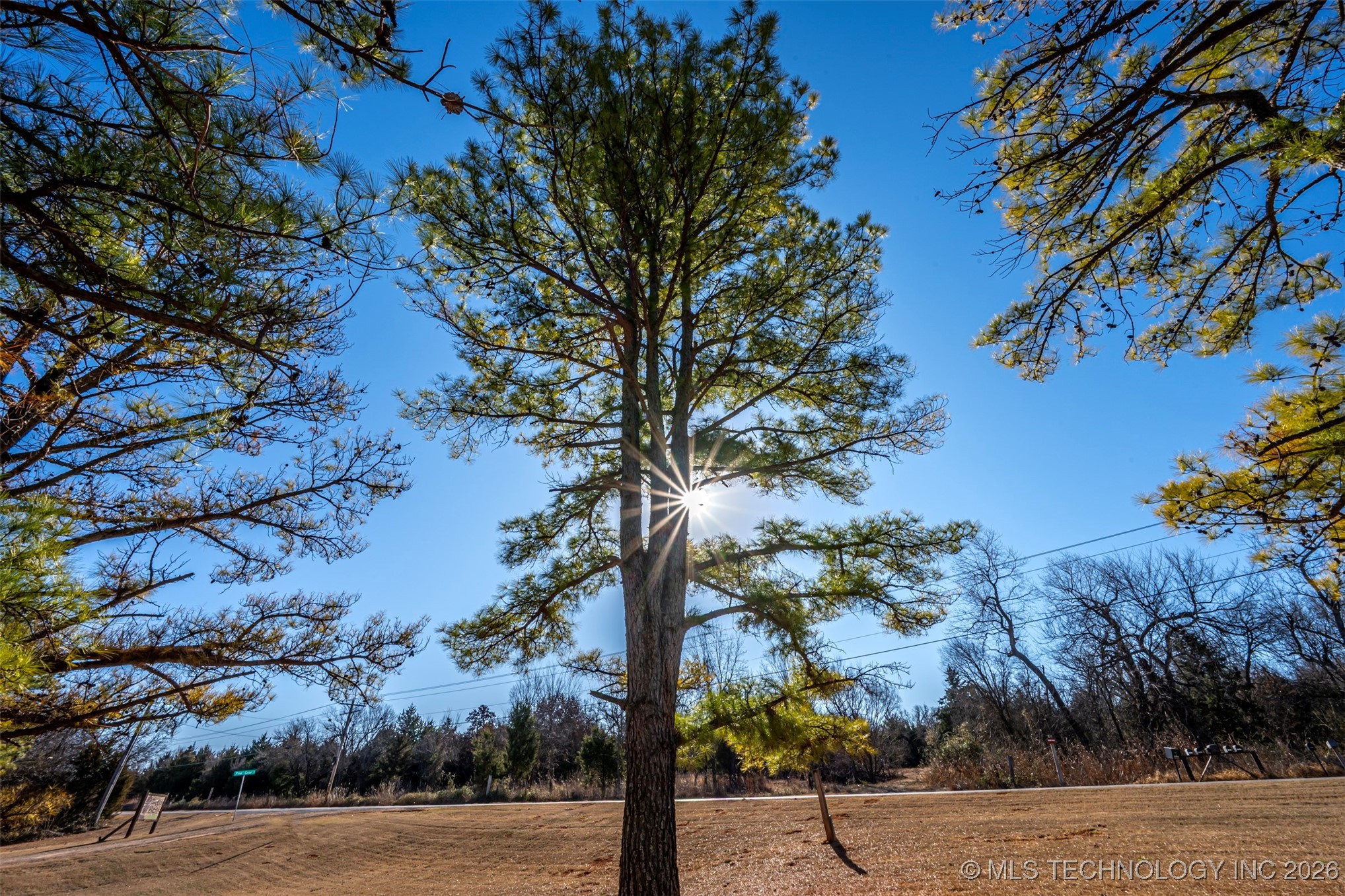 27011 Pine Property Photo 5